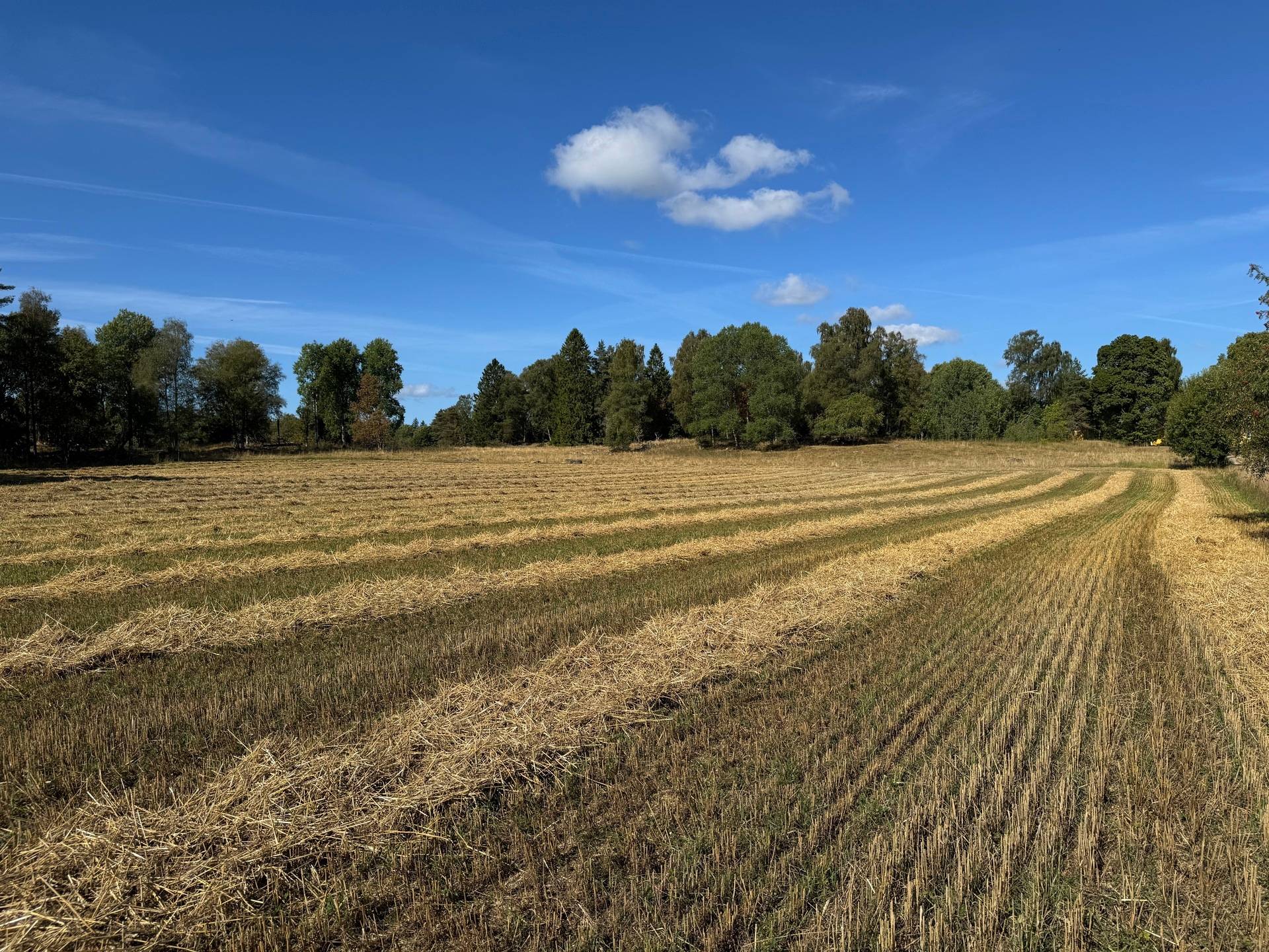 Gård med jordbruk på Ringestena Lillegården 1 Ringestena Svenljunga kommun - bild 68
