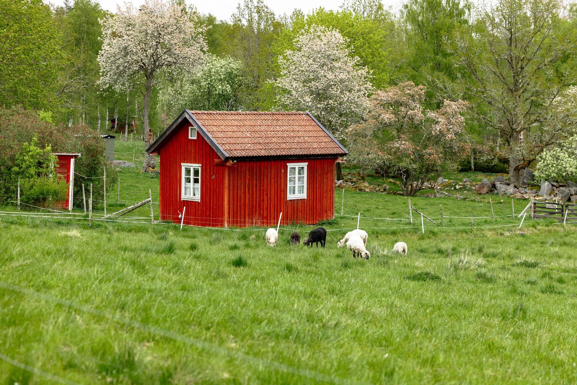 7 rum Gård med jordbruk på Sandreda Skattegård 1 Braås Växjö kommun - bild 16