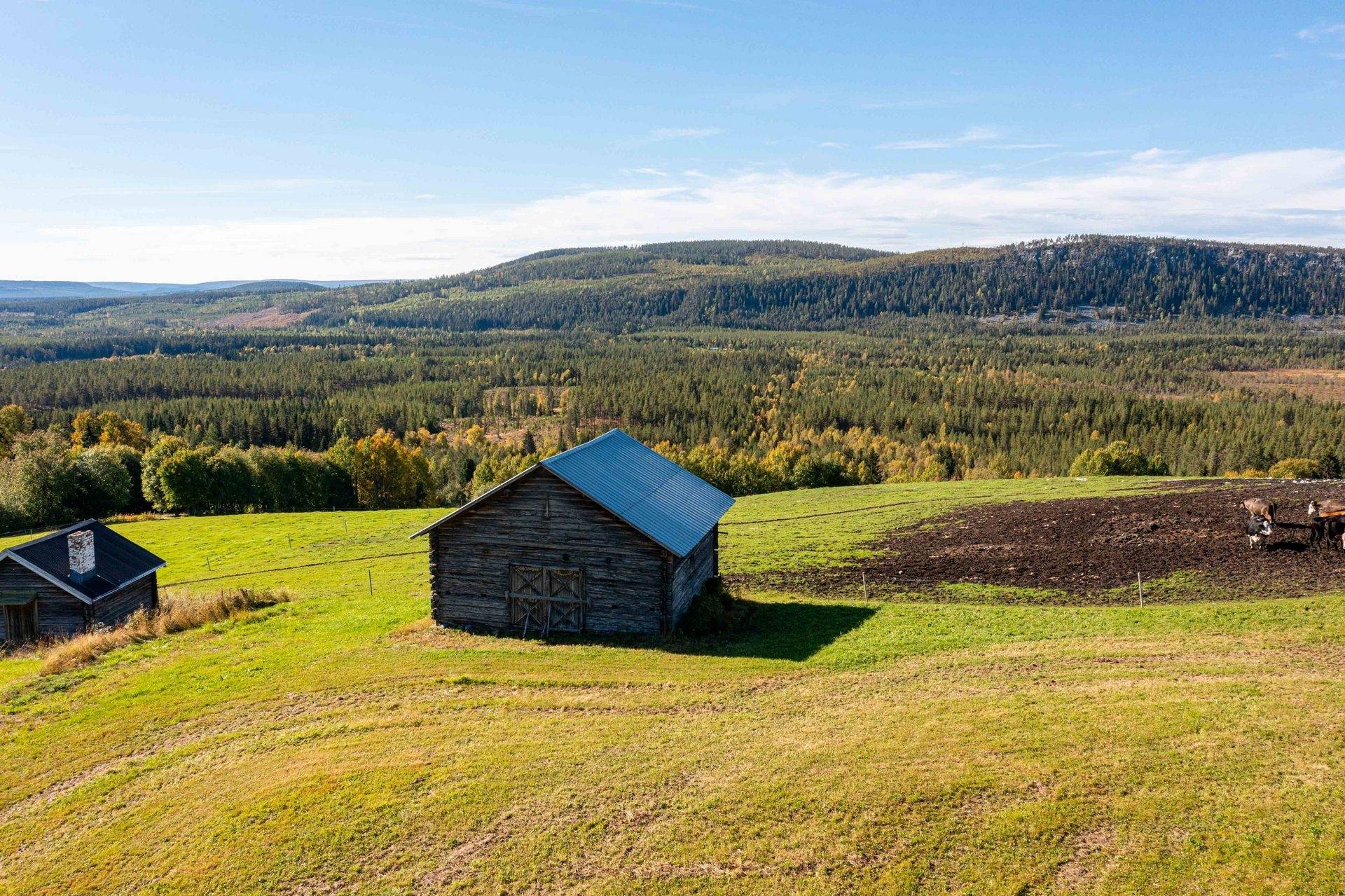 Gård/skog på Norrgården 656 Bergs kommun - bild 8