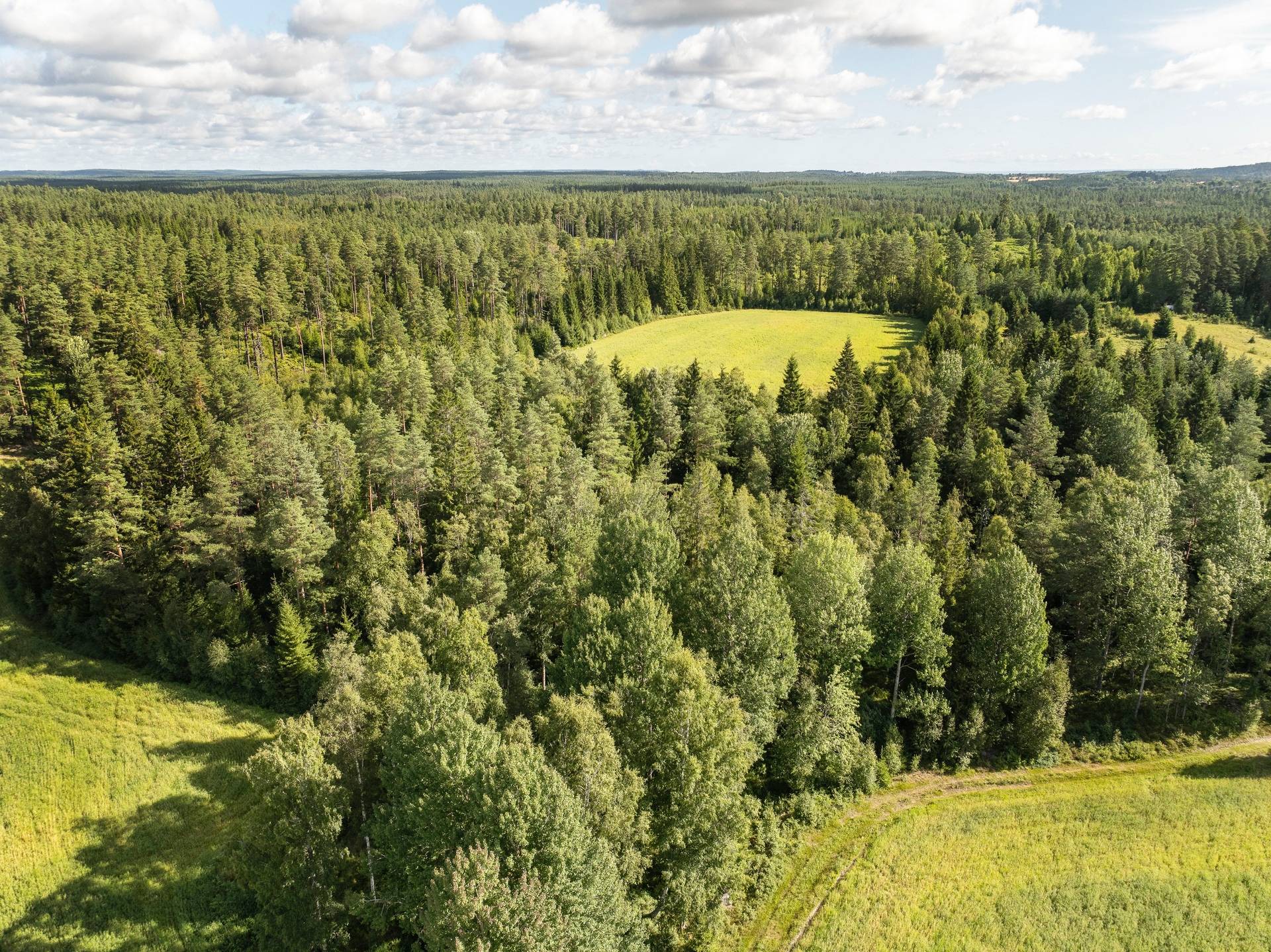 Gård med jordbruk på Apelskift Habo kommun - bild 28