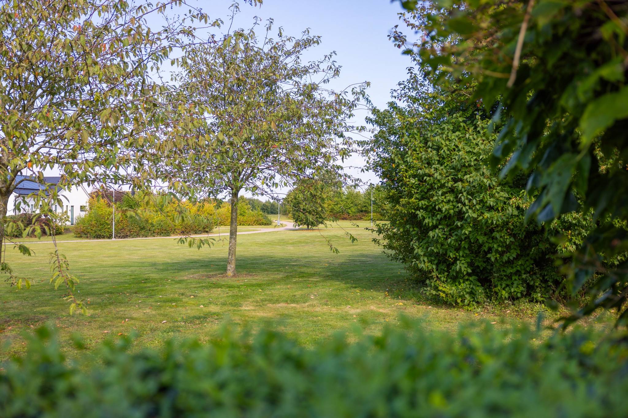 6 rum Villa på Skegrie byaväg 15 Trelleborgs kommun - bild 8