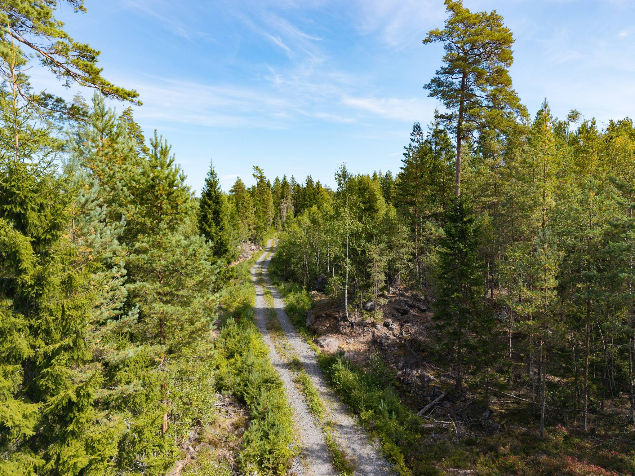 Gård med skogsbruk på Isåsen Askersunds kommun - bild 22