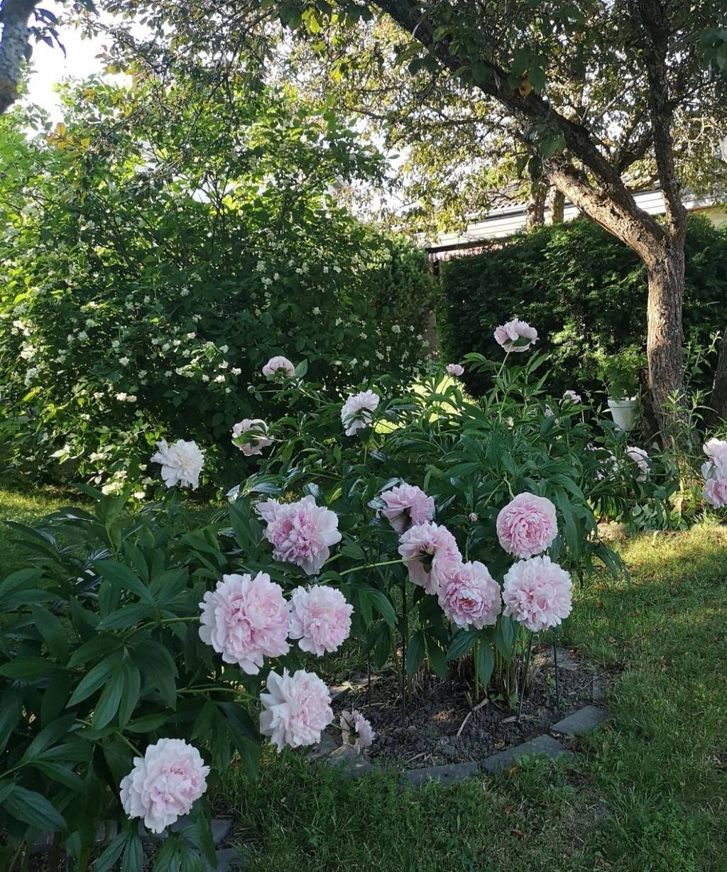 6 rum Villa på Tunavägen 183 Hytting Borlänge kommun - bild 34