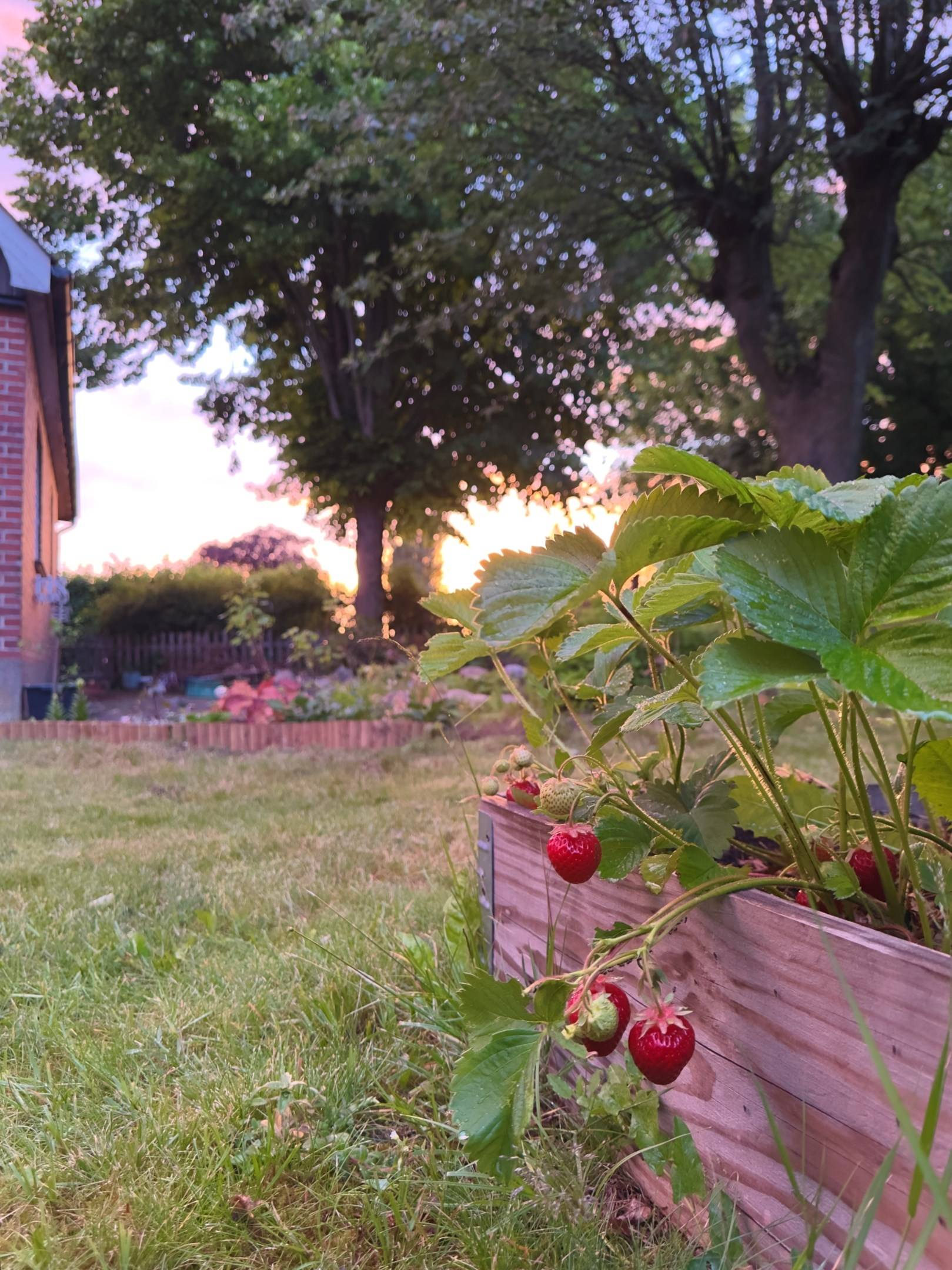 4 rum Villa på Värmövägen 68 Billeberga Svalövs kommun - bild 9
