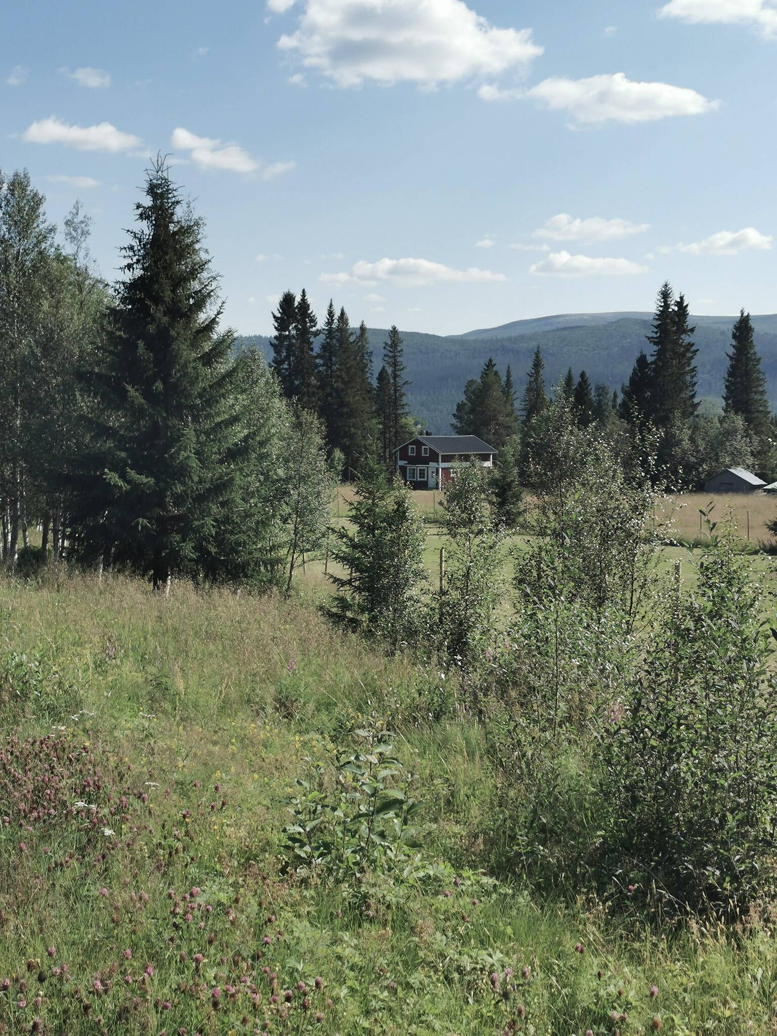 4 rum Vinterbonat fritidshus på Hovärksvägen 33 Lofsdalen - Hovärksvägen Härjedalens kommun - bild 14