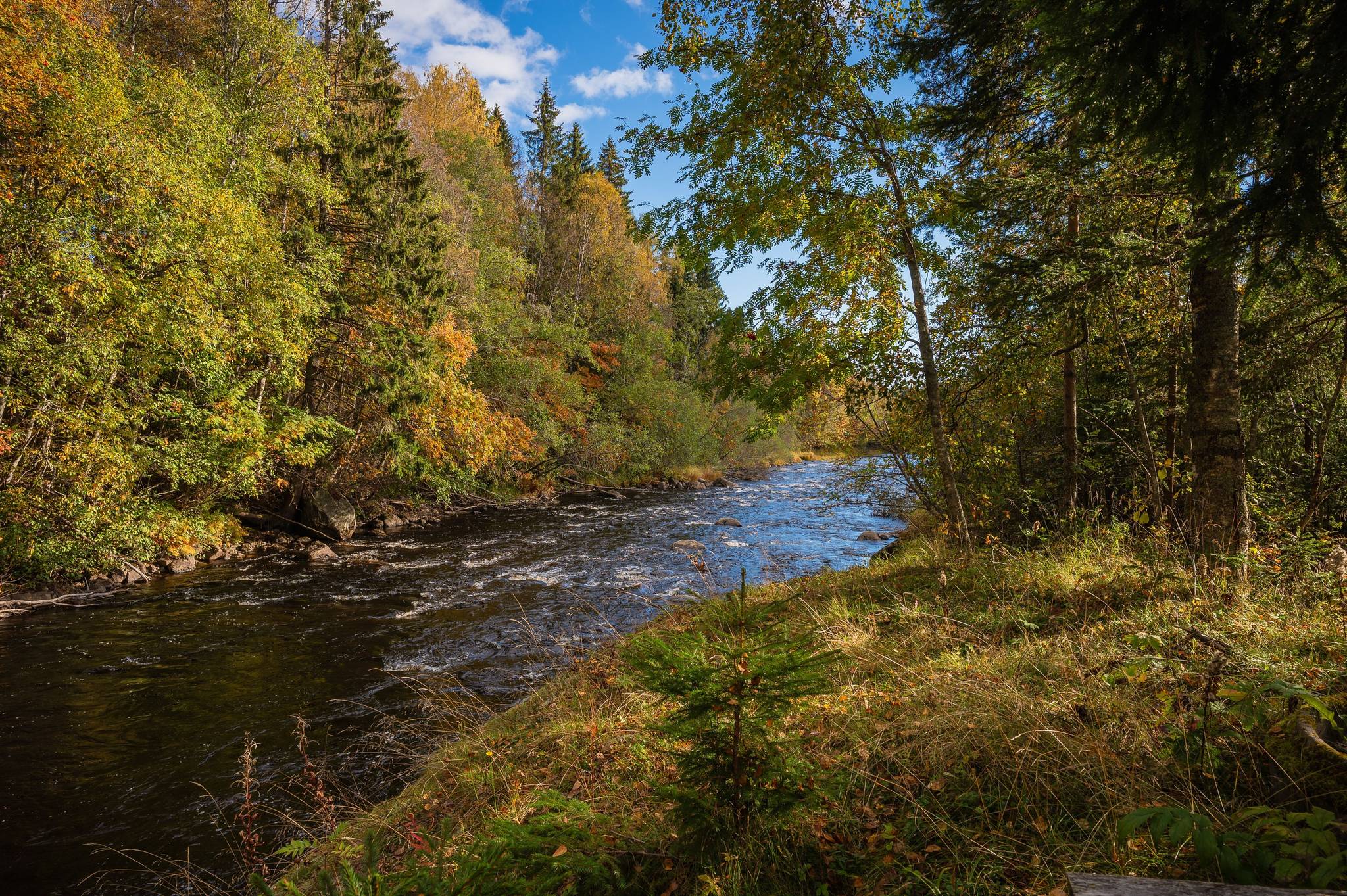5 rum Gård/skog på Önska 122 Önska Örnsköldsviks kommun - bild 50
