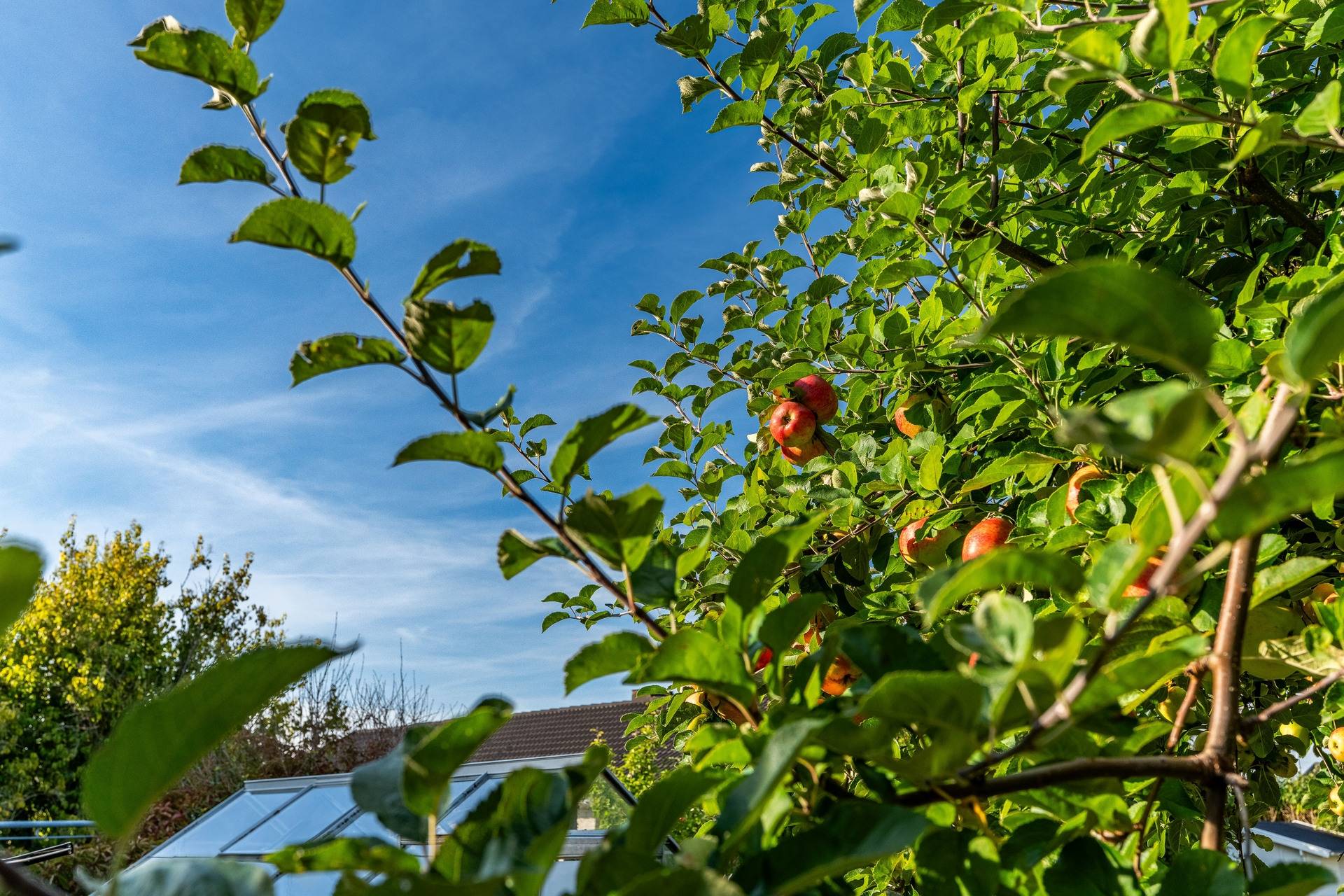 6 rum Villa på Lönnviksvägen 12 Sunnersta Uppsala kommun - bild 10