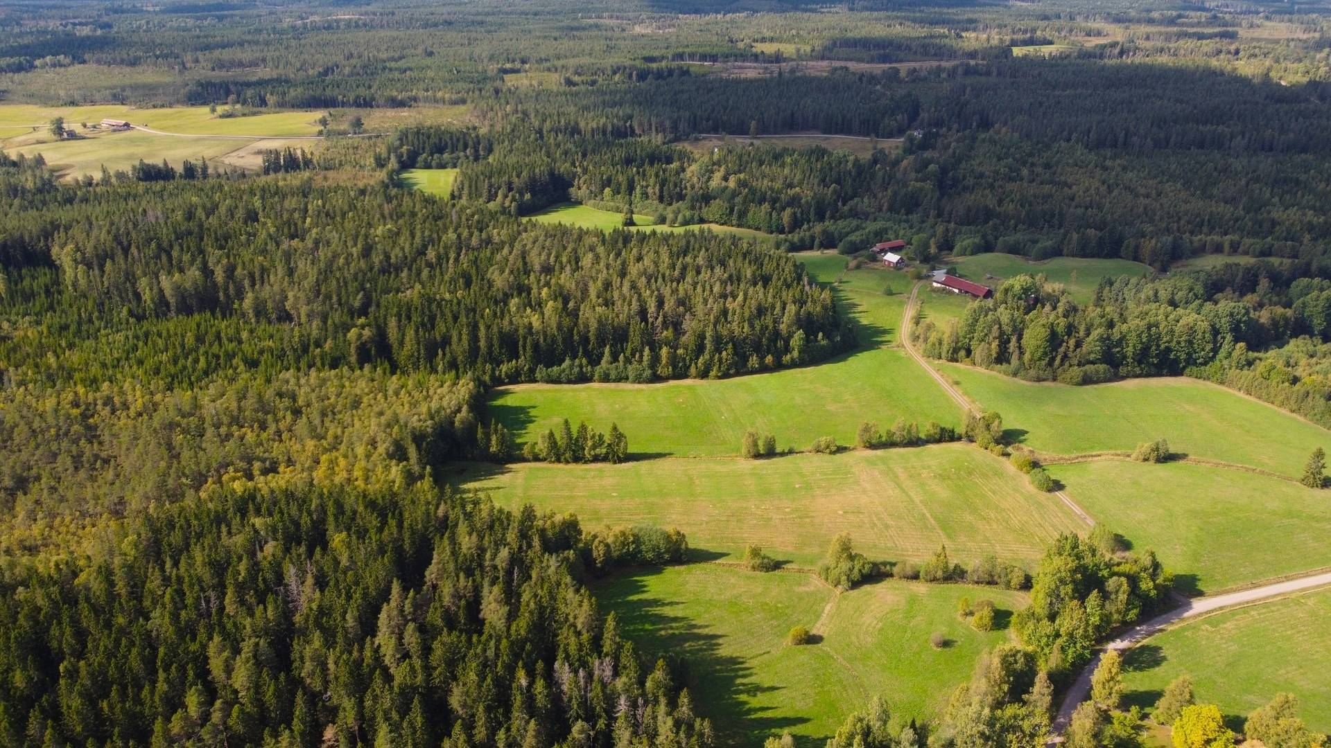Gård med jordbruk på Snårbotten Laggartorp 23 Laggartorp Storfors kommun - bild 1
