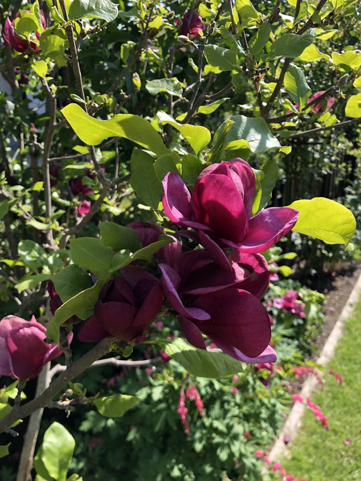 4 rum Kedjehus på Västervägen 6A Häggvik Sollentuna kommun - bild 47