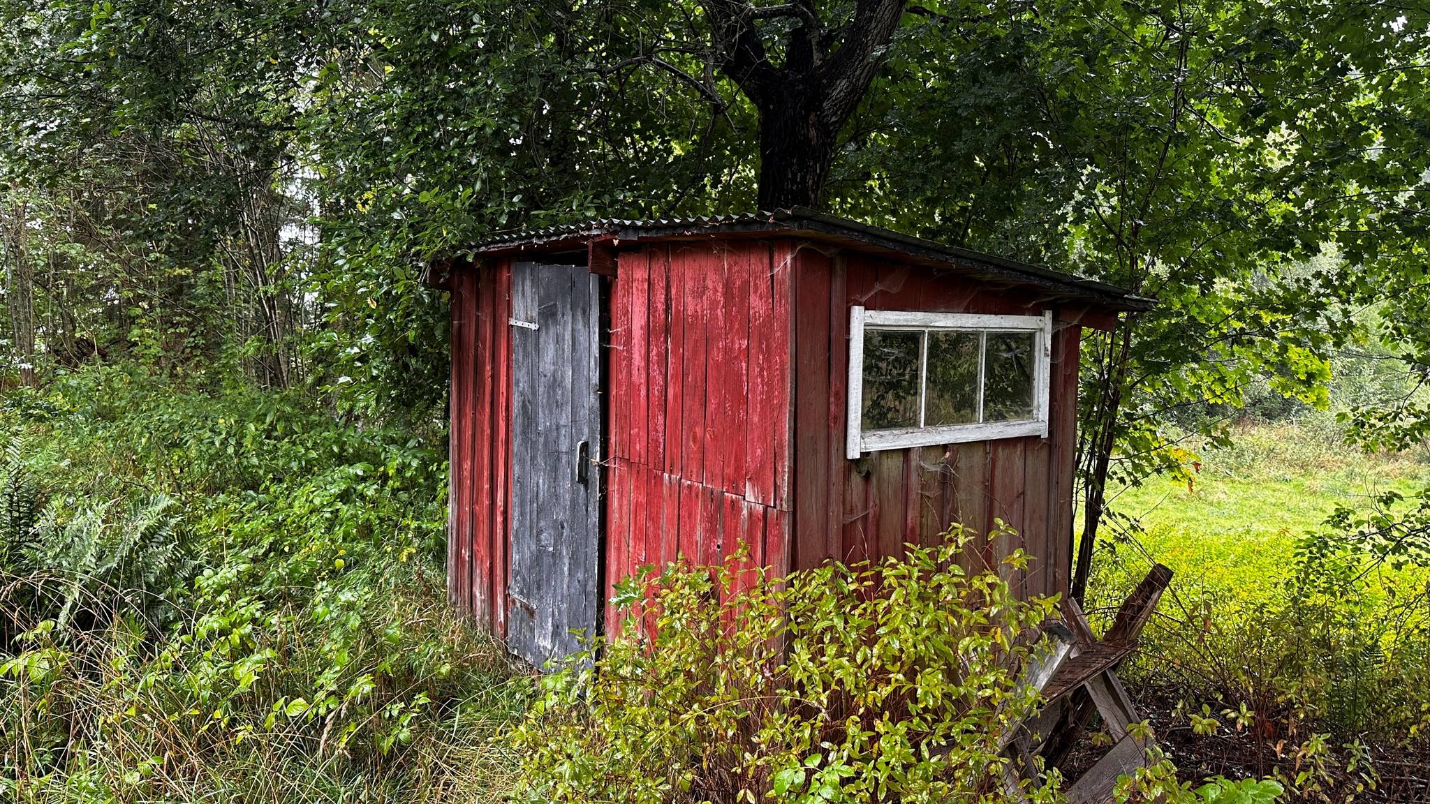 3 rum Fritidshus på Högarydsvägen 34 Kornhult Laholms kommun - bild 11
