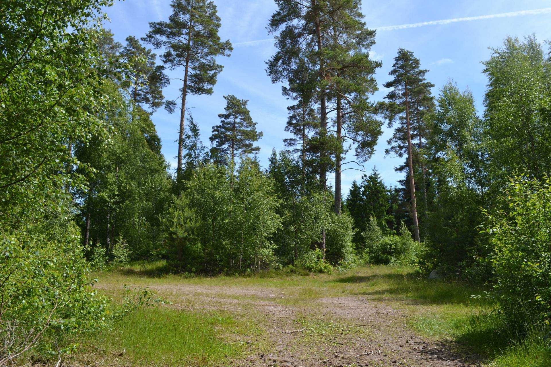 Gård/skog på Funtabo 1 Värnamo kommun - bild 7