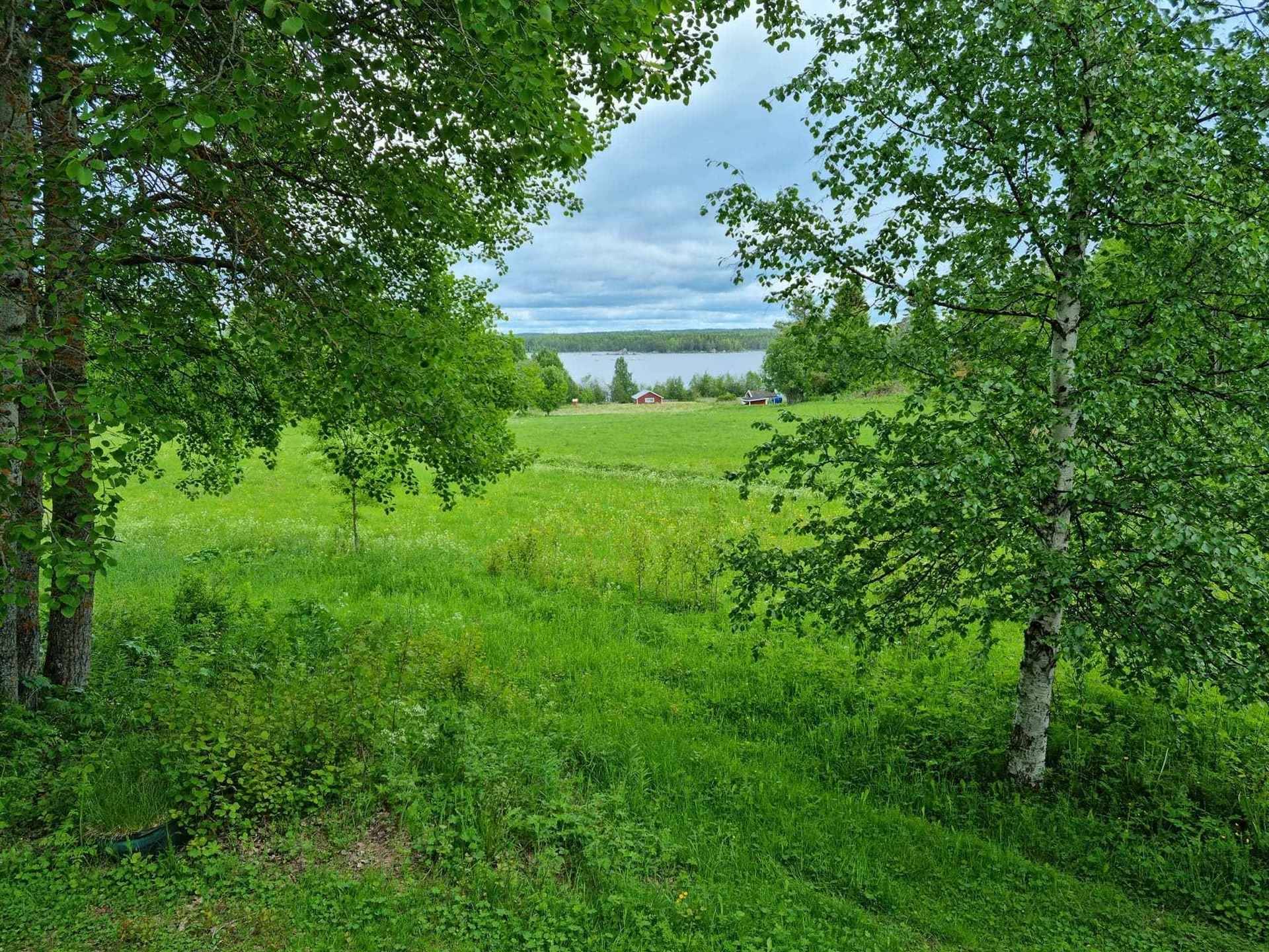 1 rum Villa på Viken 445 Hammerdal Strömsunds kommun - bild 11