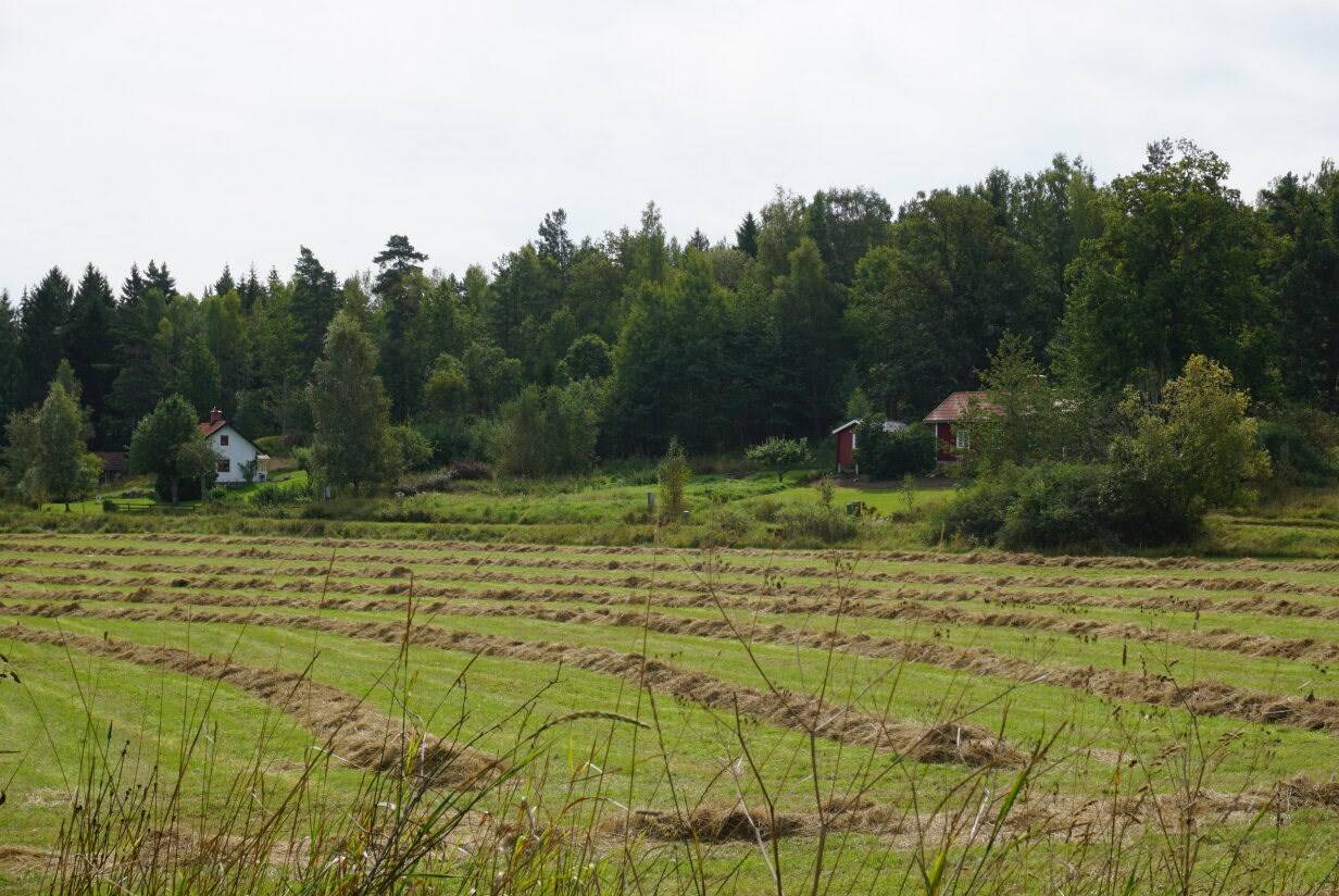 4 rum Fritidsboende på Östra Ny 241 Stegeborg Norrköpings kommun - bild 27