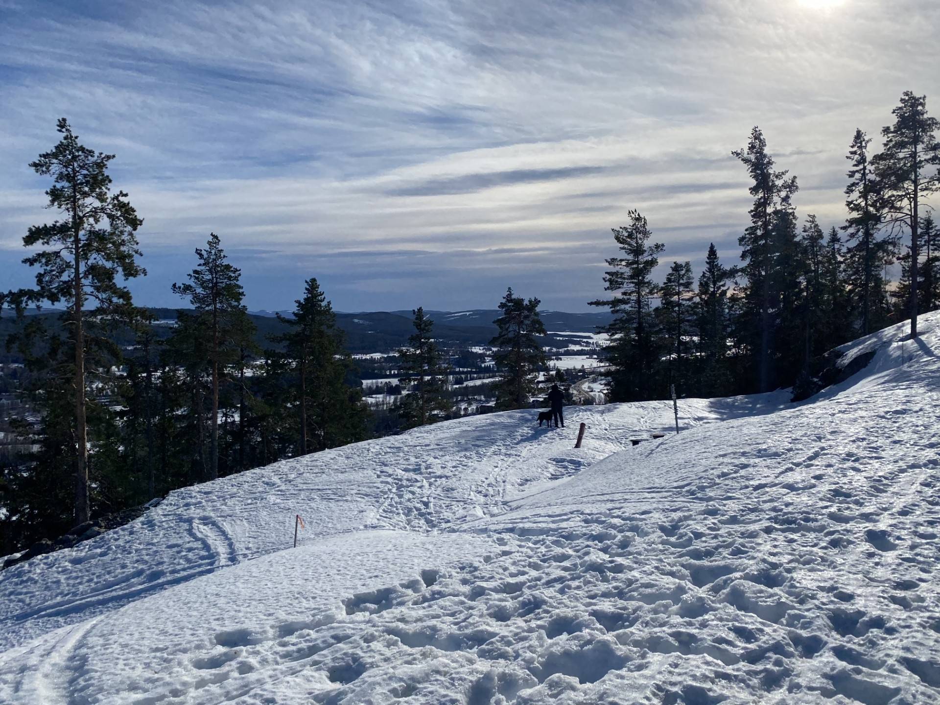 tomt på Serpentinvägen 4 Järvsö, Öjeberget, Ljusdals kommun - bild 1