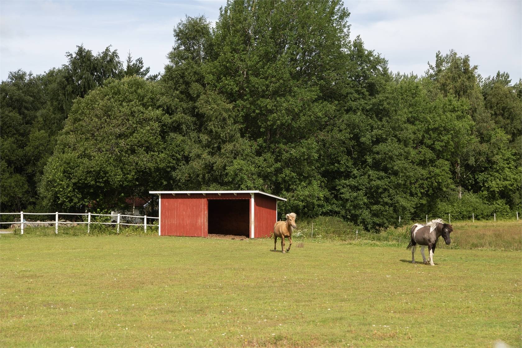 4 rum Gård/skog på Stripplekärr 602 Ödsmål Stenungsunds kommun - bild 5