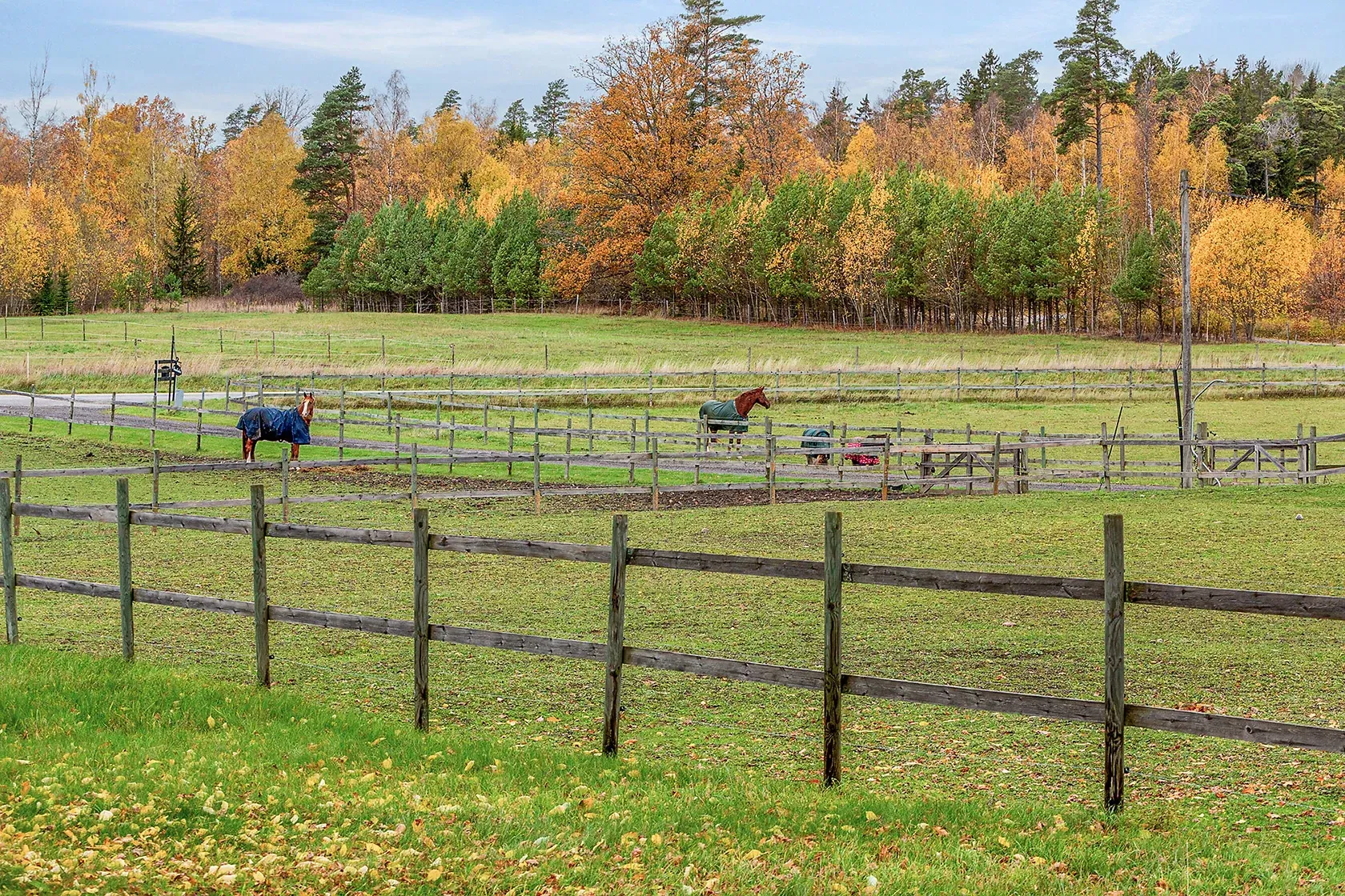 6 rum Gård utan jordbruk på Långbacka Hasselbacken 3 Färingsö Kungsberga Ekerö kommun - bild 9
