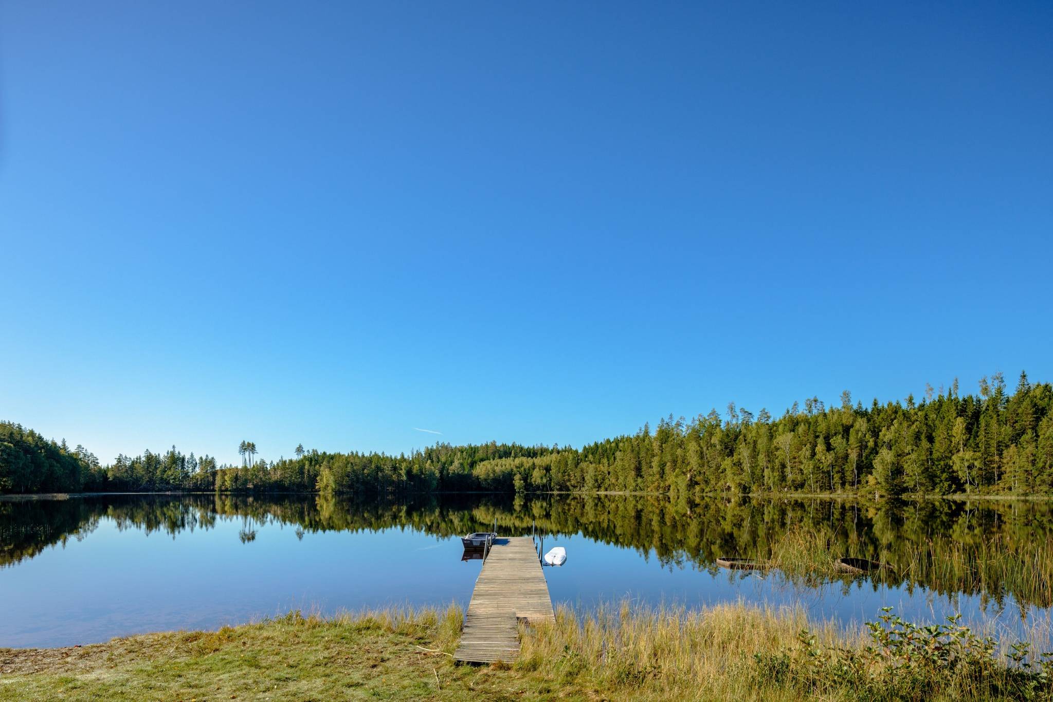 Gård/skog på Åshuvud Björsbo 1 Gnosjö Gnosjö kommun - bild 29