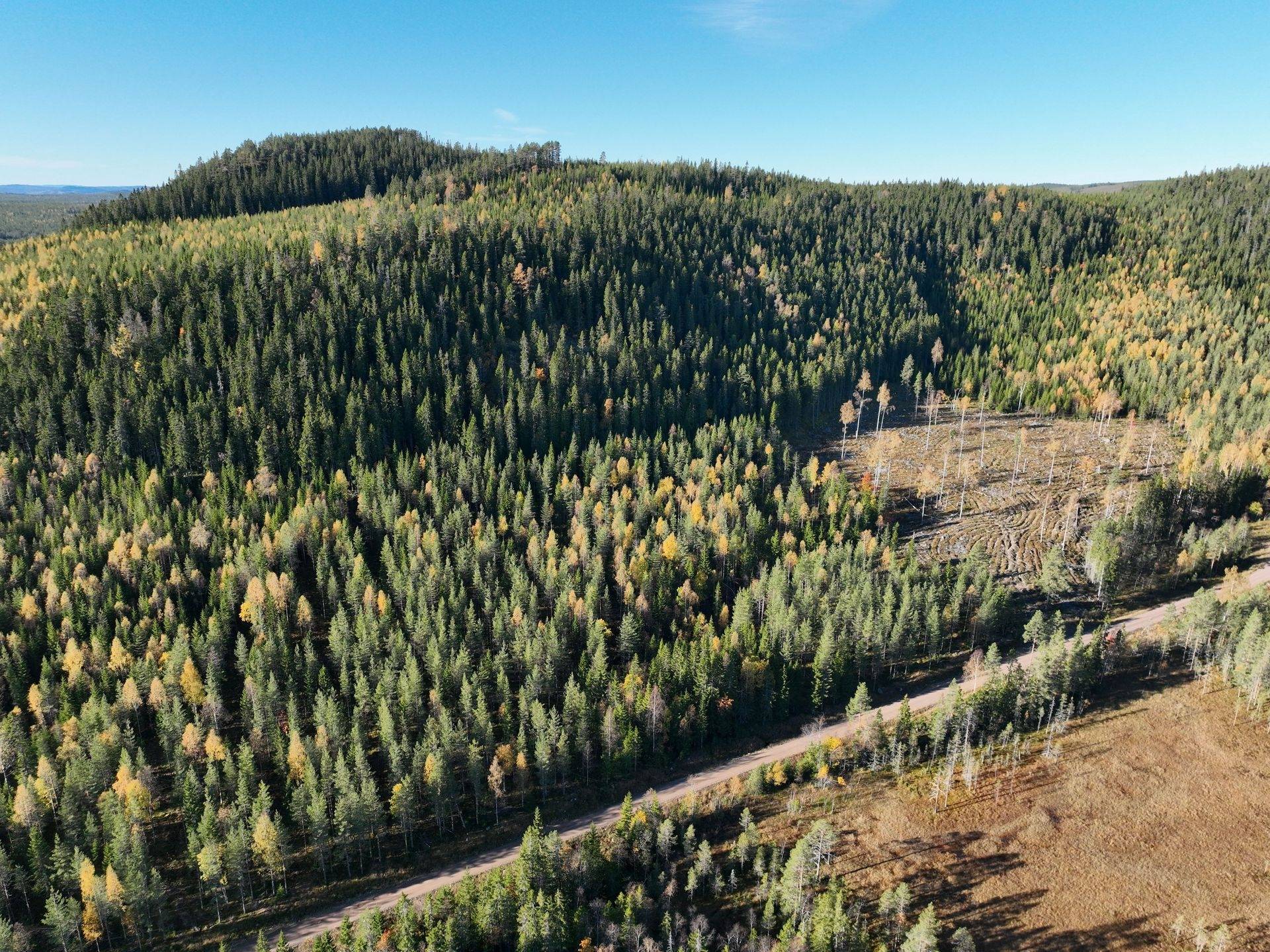 Gård/skog på Hansjö 8:5 Orsa kommun - bild 16
