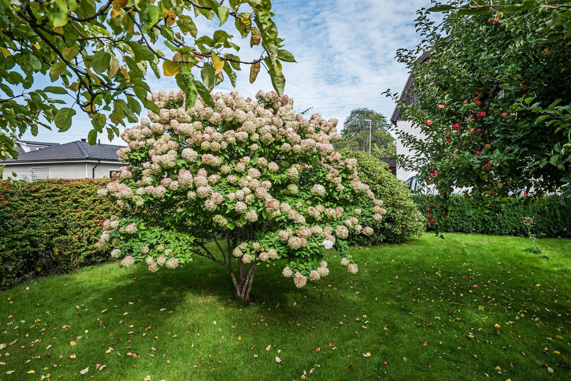 6 rum Villa på Staafsgatan 24 Stavre Trollhättans kommun - bild 9