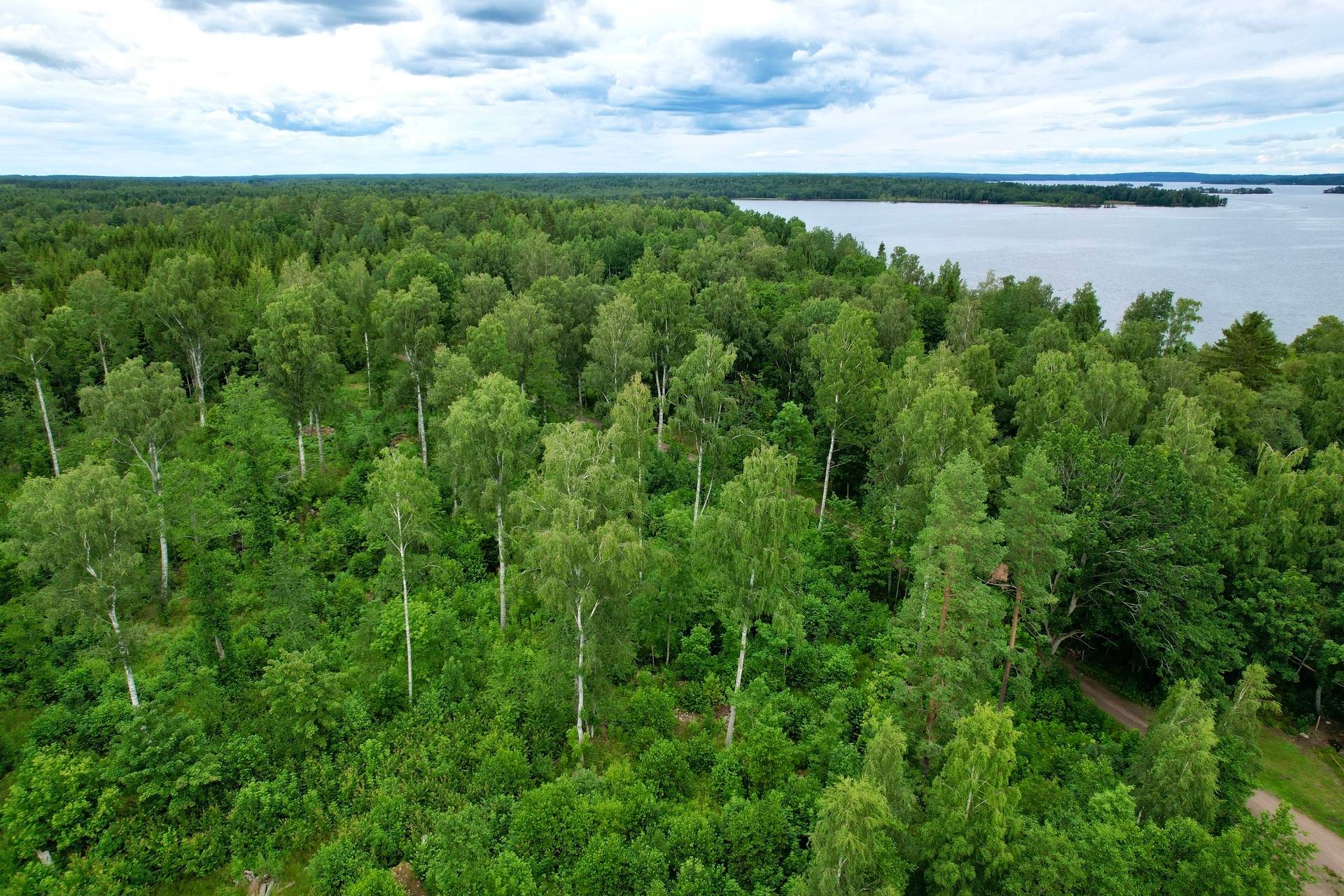 4 rum Gård med skogsbruk på Tåtorp Västra Sjötorp 14 Moholm Töreboda kommun - bild 77