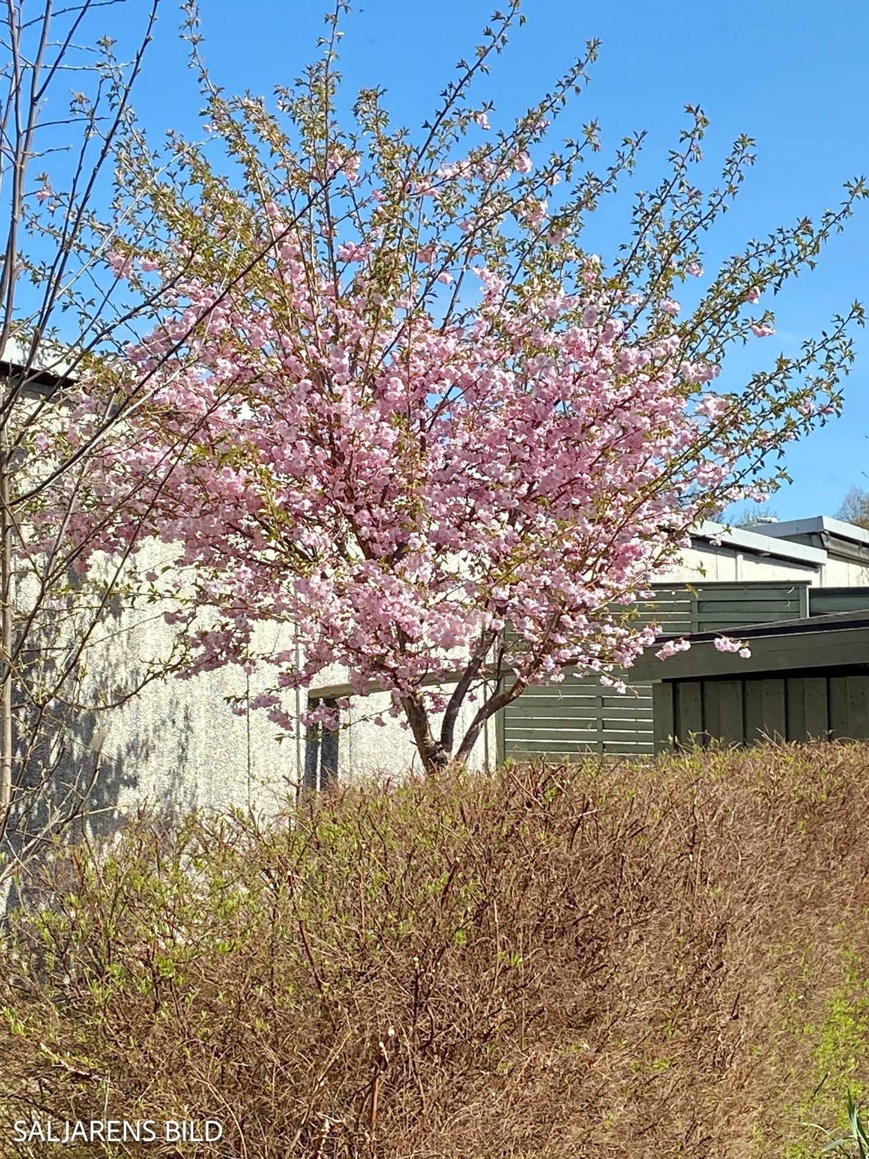 4 rum Villa på Snäppvägen 46 Bålsta - Västerängen Håbo kommun - bild 36