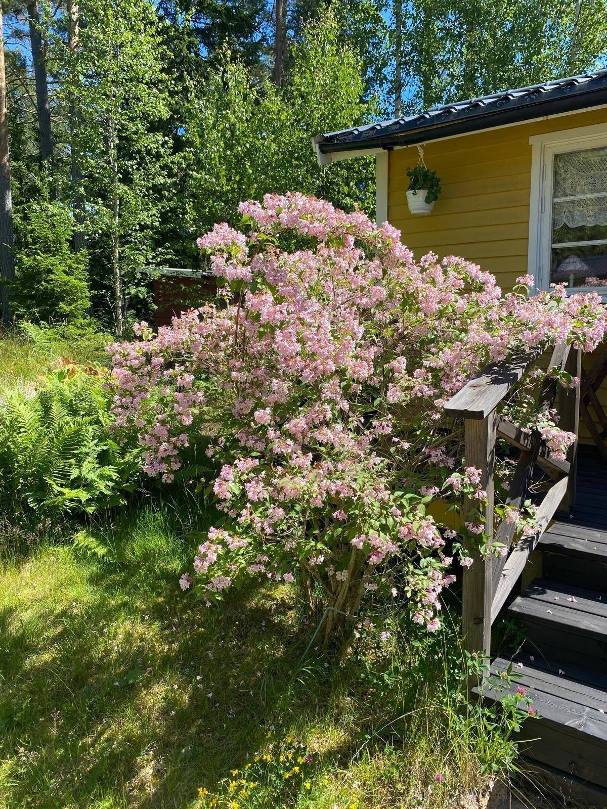 3 rum Vinterbonat fritidshus på Tallholmsvägen 13 Björkö Norrtälje kommun - bild 22