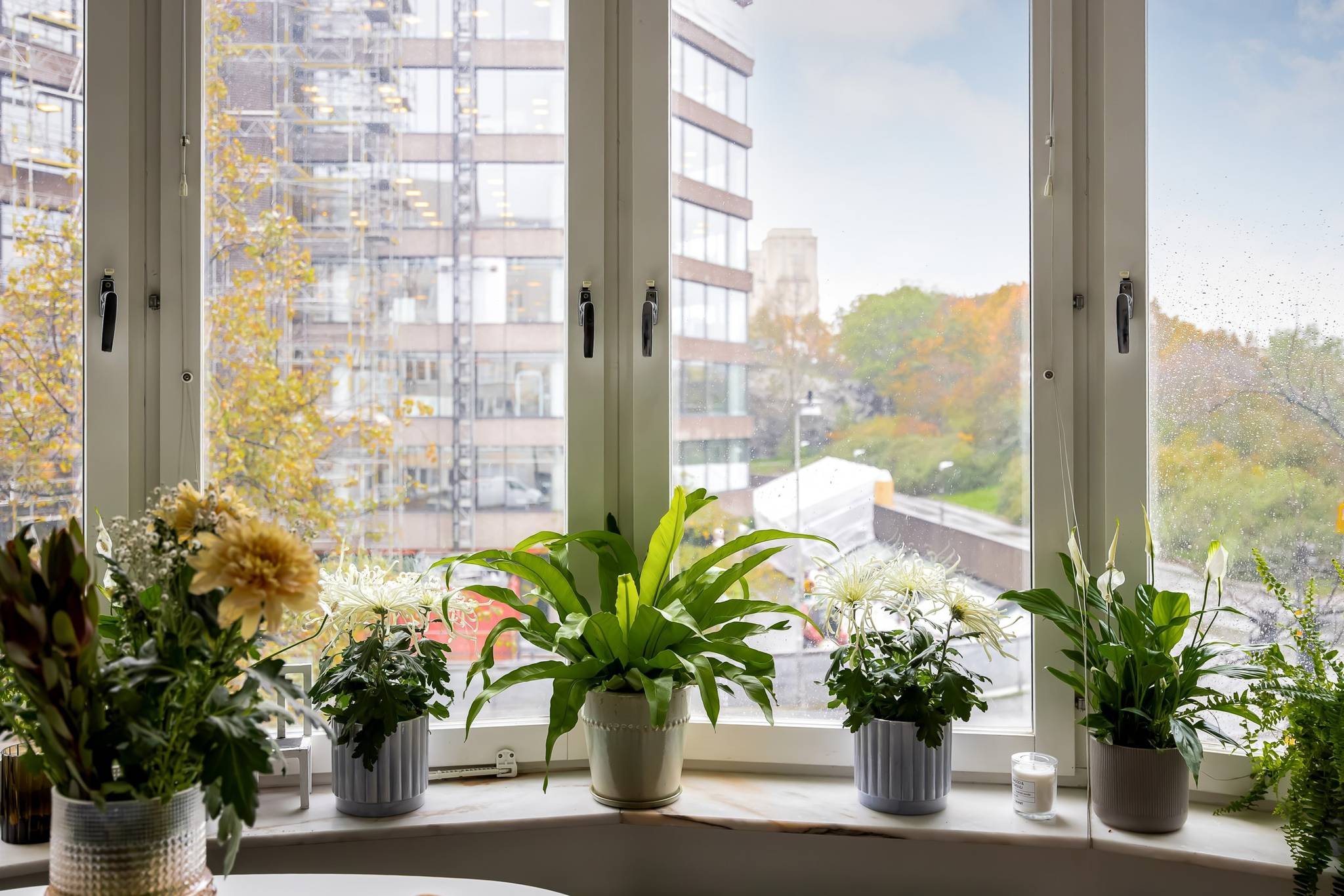 2 rum Lägenhet på Scheelegatan 40B Kungsholmen Stockholms kommun - bild 31