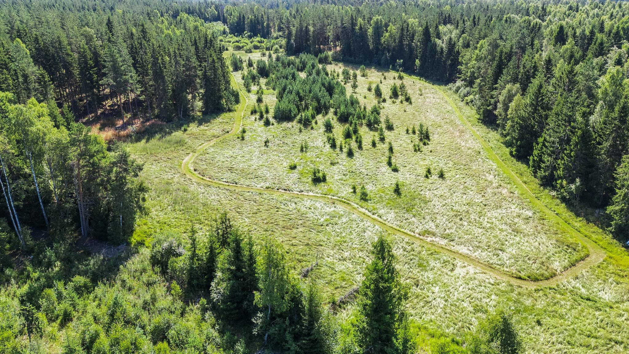 tomt på Bygg ditt drömhem på ca 2 ha – lantligt läge med friheten att välja själv Vänge, Uppsala kommun - bild 4