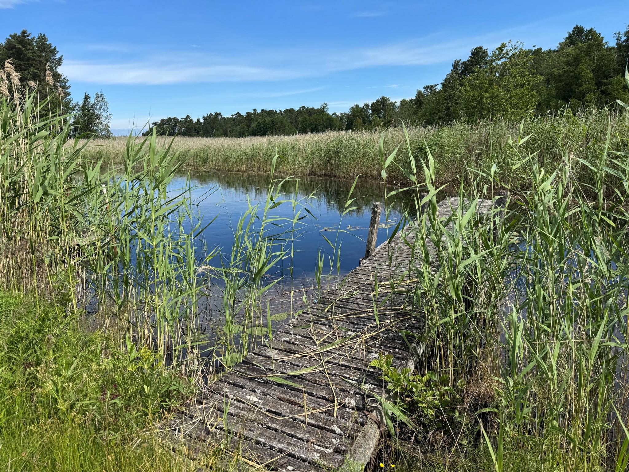 4 rum Gård/skog på Ålön Solhem 1 Vänern, Ålön Gullspångs kommun - bild 6