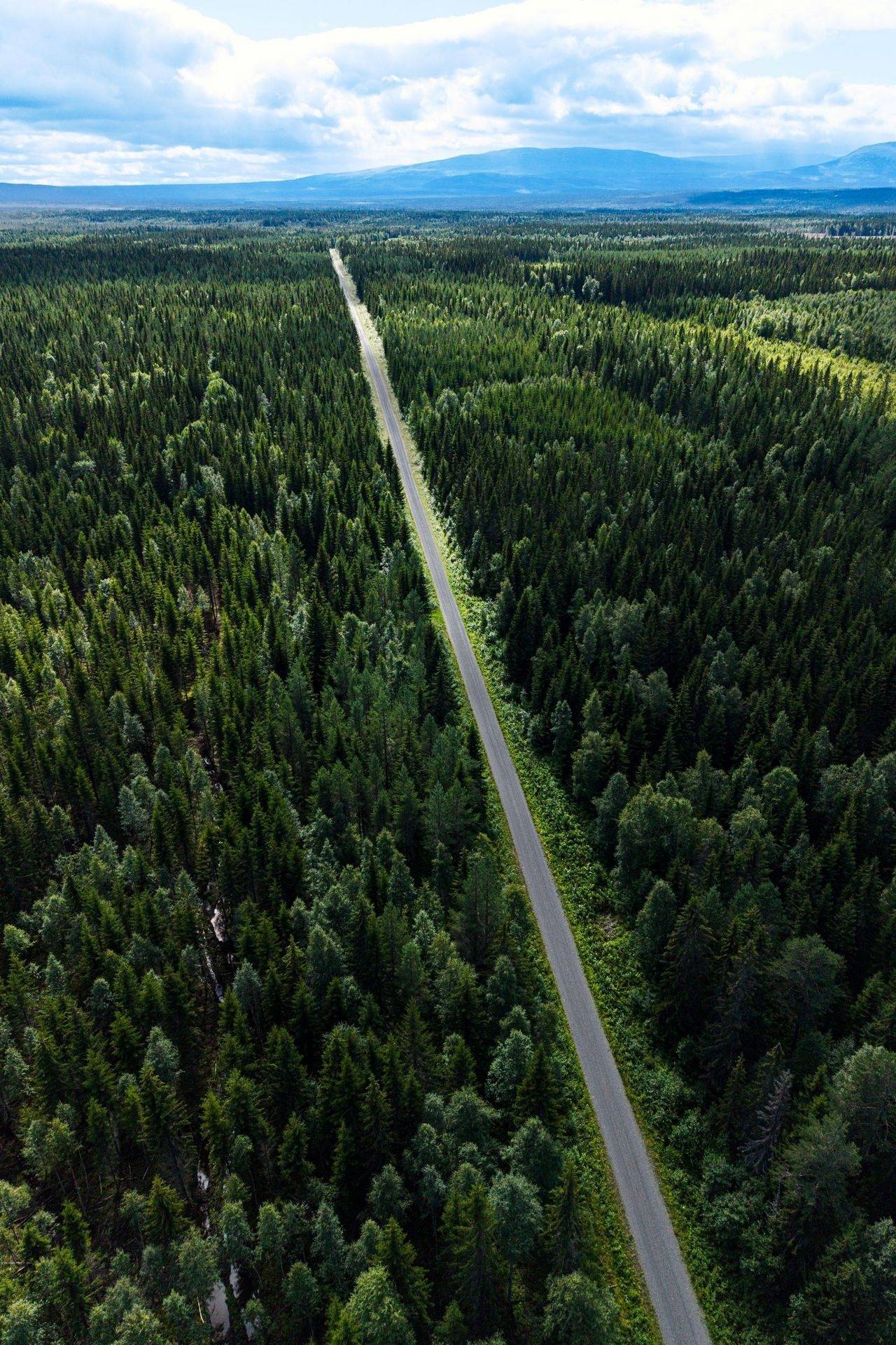 Gård med jordbruk på Högenvägen 29 Hallen Åre kommun - bild 64