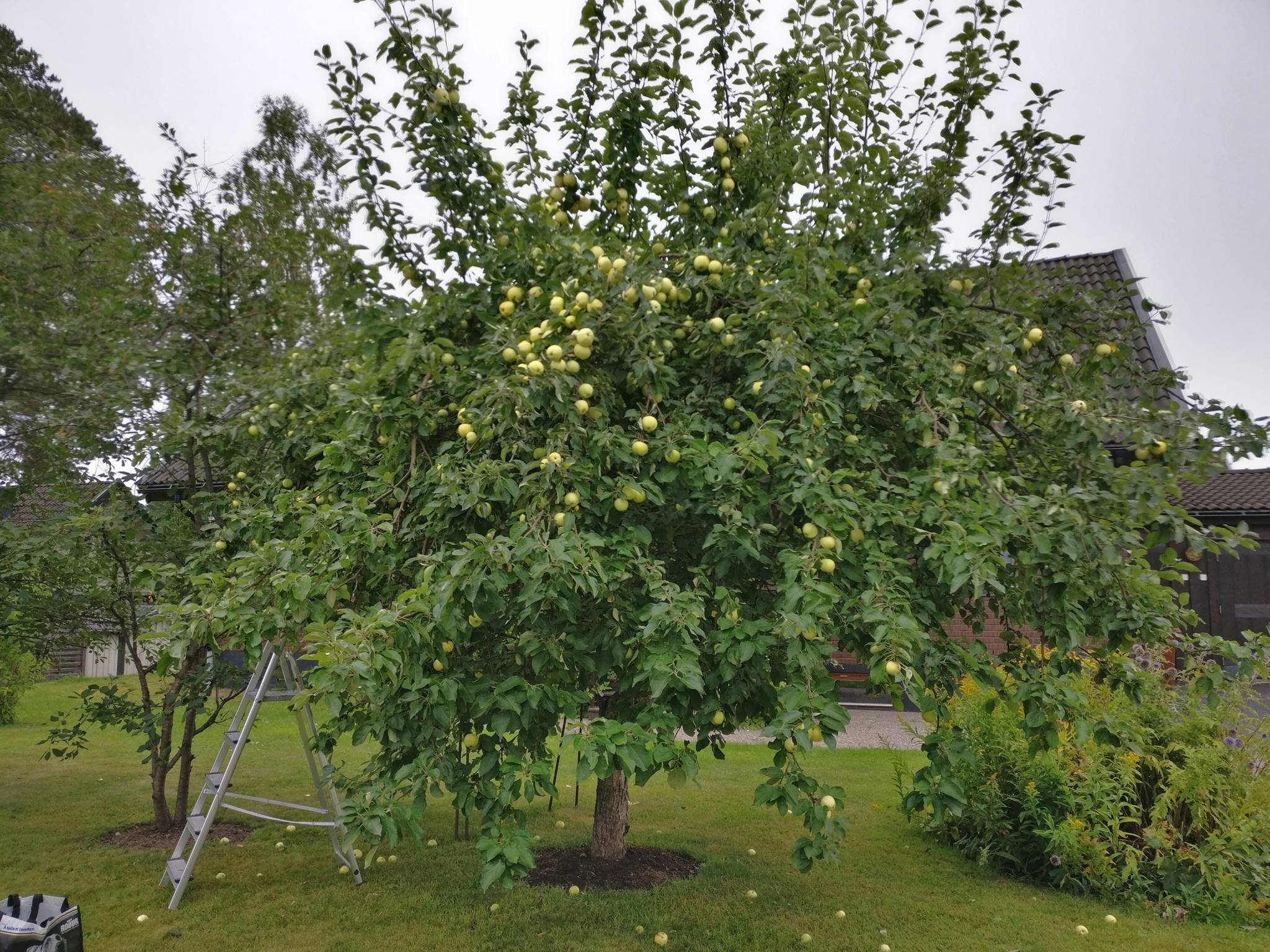 6 rum Villa på Stormstigen 28 Morö Backe Skellefteå kommun - bild 41