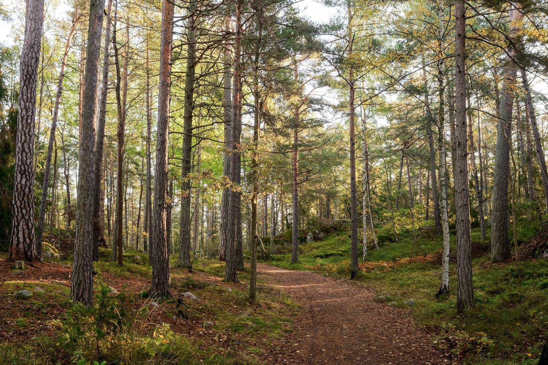 3 rum Lägenhet på Diligensvägen 37 Jarlaberg Nacka kommun - bild 30
