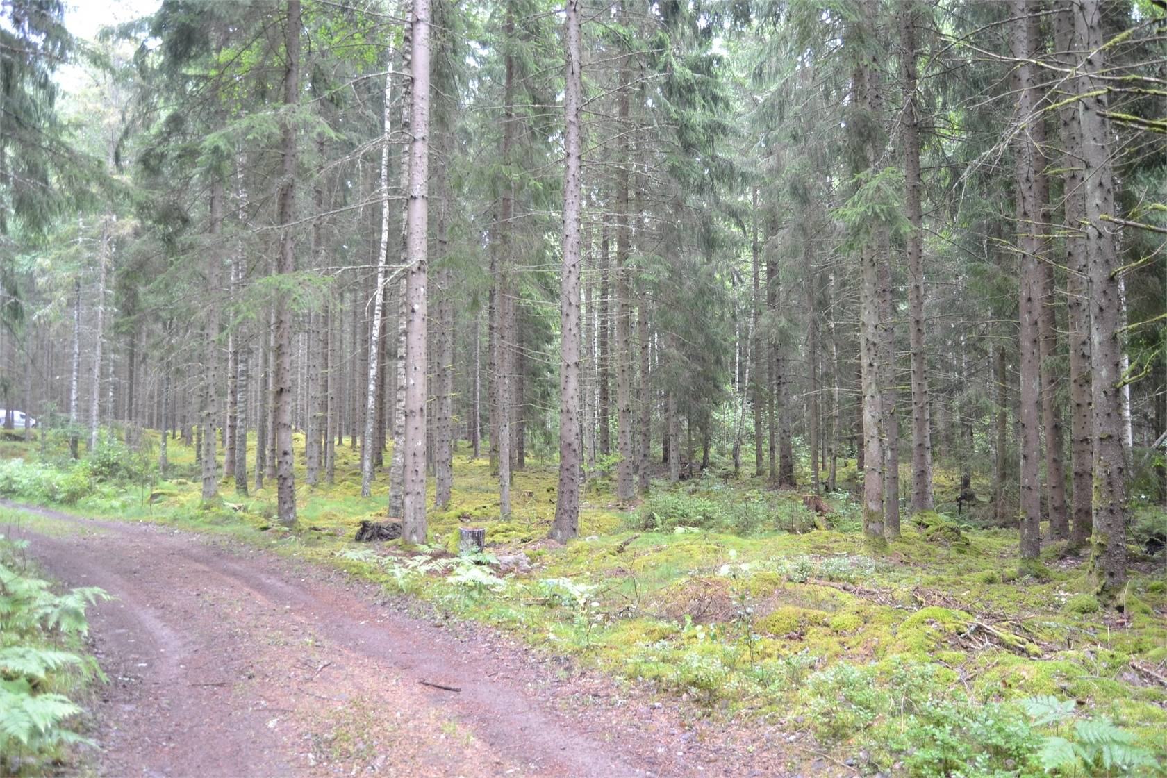 gård/skog på Rud område 2, 6 och 7 Töreboda Landsbygd, Töreboda kommun - bild 5