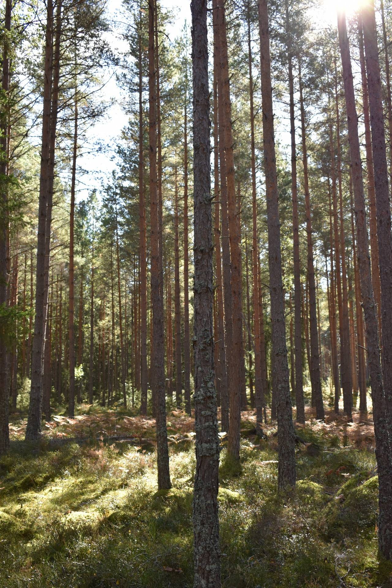 Gård med jordbruk på Brixslät 122 Brixslät Nybro kommun - bild 13