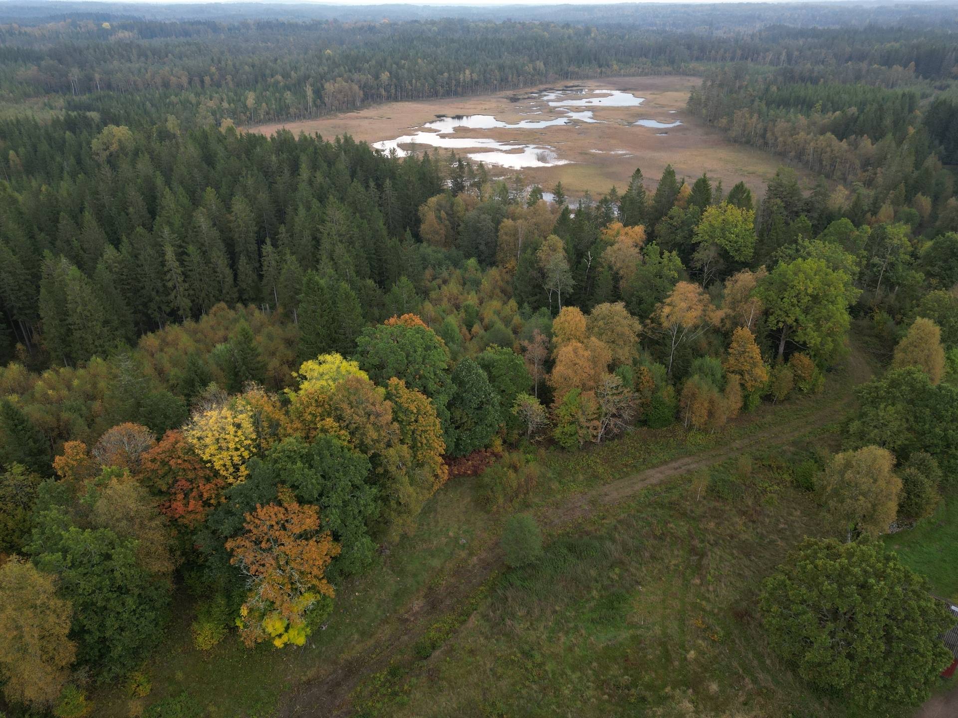 Gård med jordbruk på Yttrebo 107 Hylte kommun - bild 20