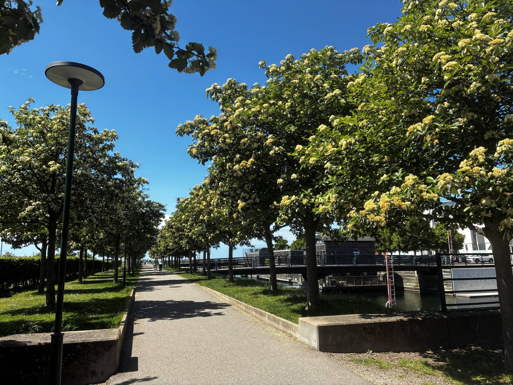 1.5 rum Lägenhet på Stora Varvsgatan 35D Västra Hamnen Malmö kommun - bild 23