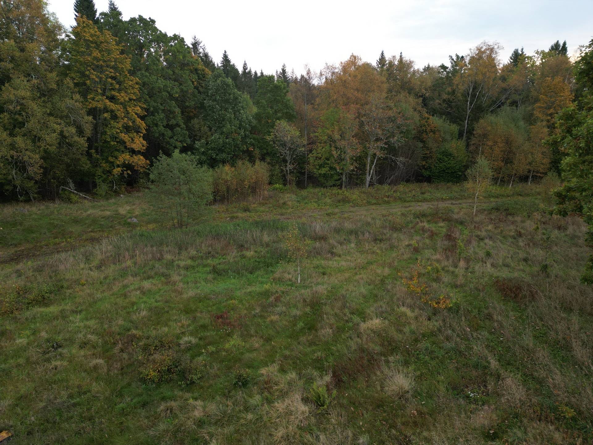 Gård med jordbruk på Yttrebo 107 Hylte kommun - bild 16