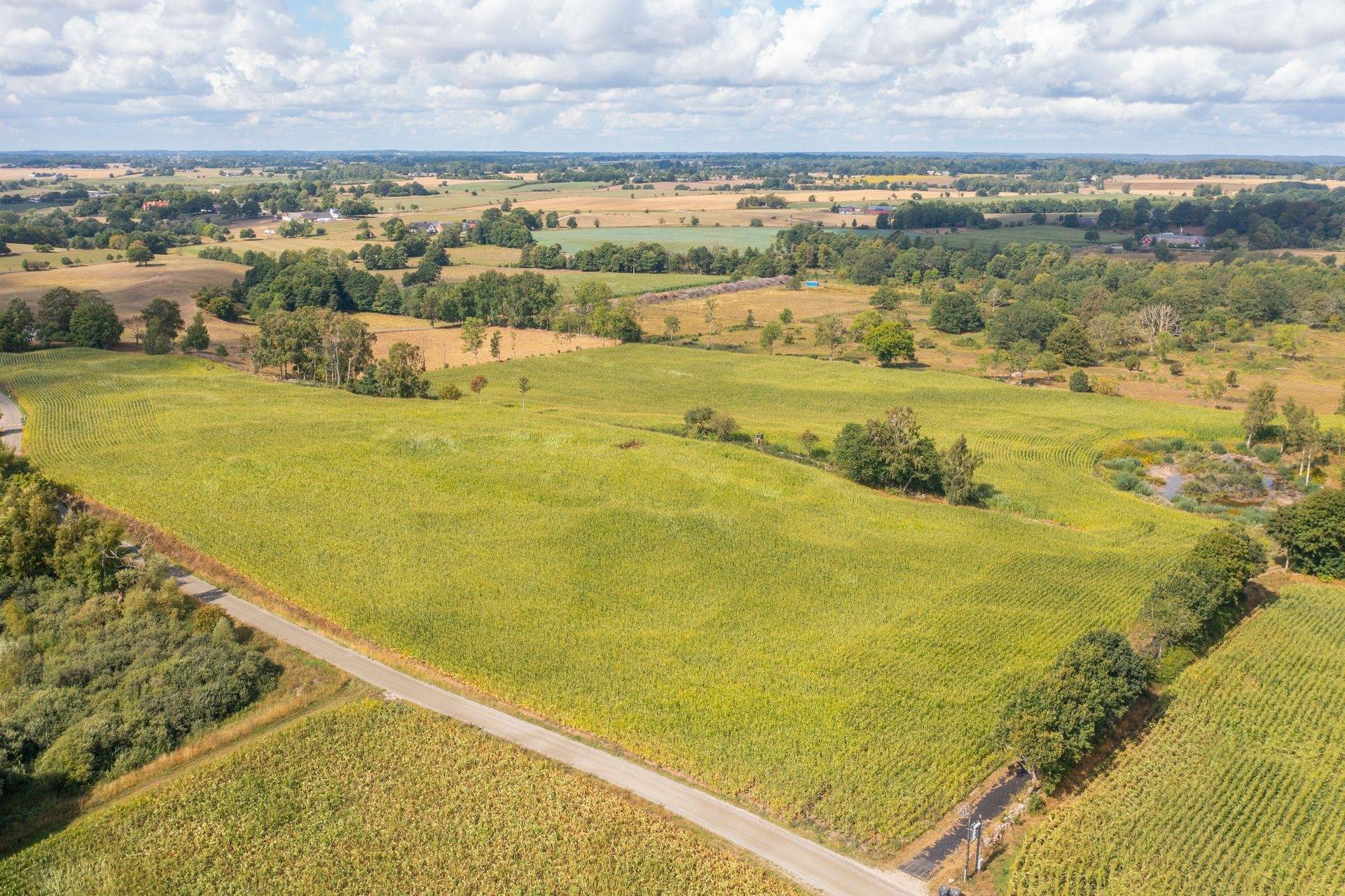 Gård med jordbruk på Östra Klasarödsvägen 262-16 Sjöbo kommun - bild 25