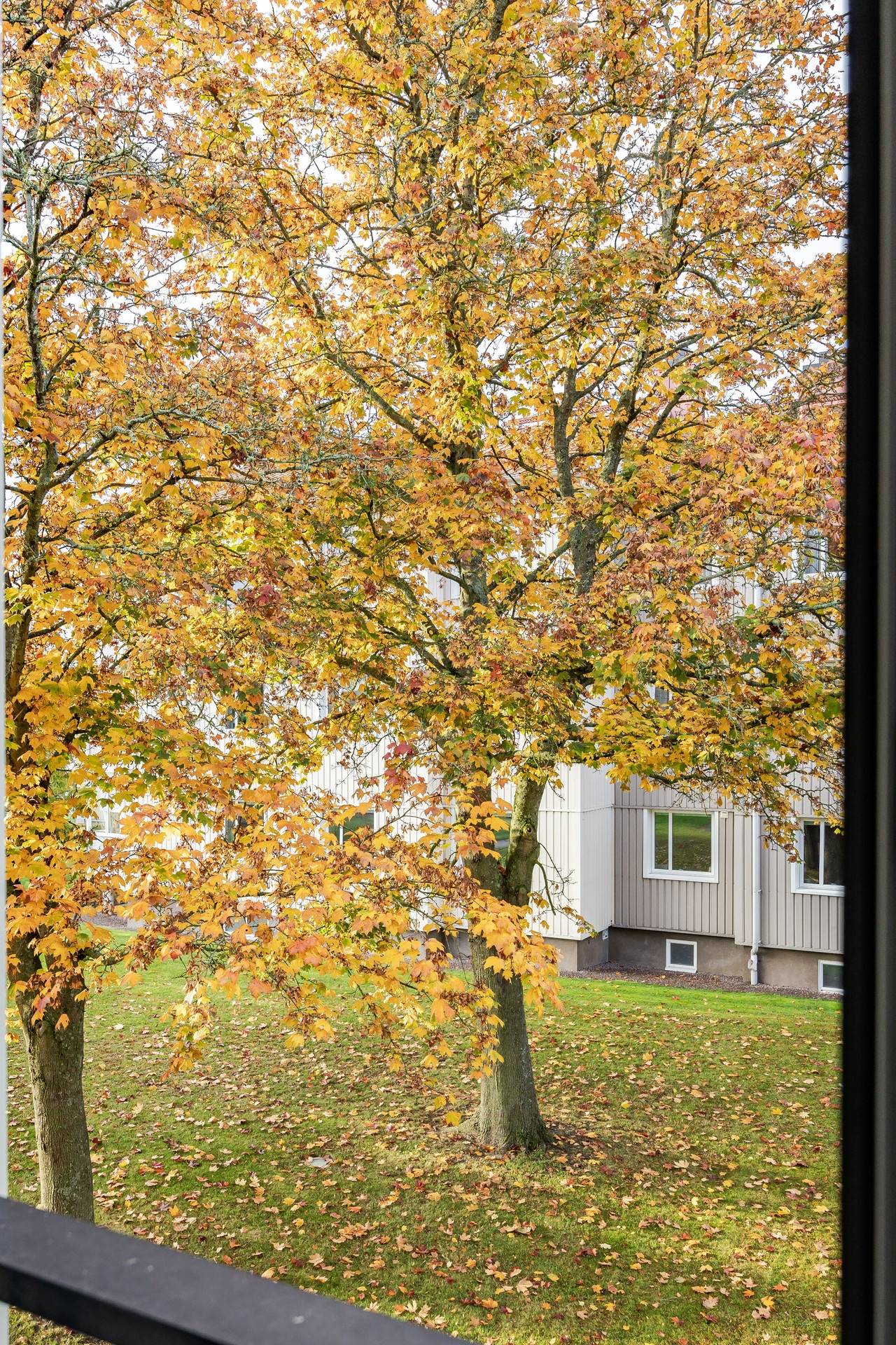 1 rum Lägenhet på Gethes väg 6 Södra området Kalmar kommun - bild 6