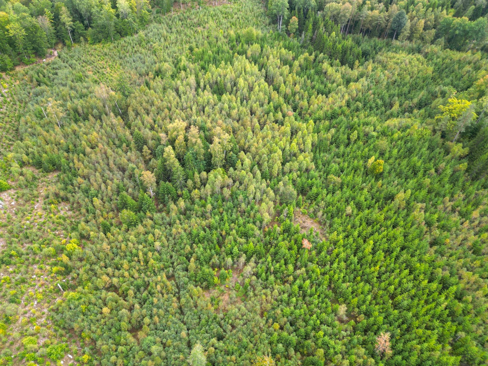 6 rum Gård/skog på Hökamåla 6 Tingsryds kommun - bild 11