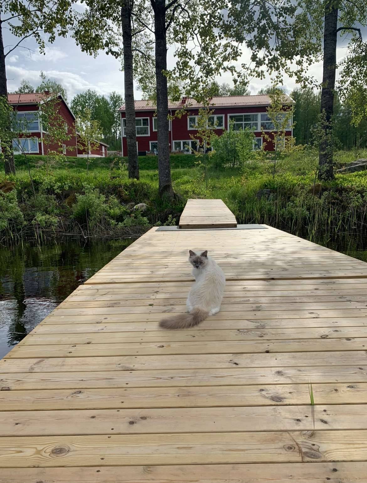 5 rum Lägenhet på Klackbergsvägen 72 B Klackberg Norbergs kommun - bild 30