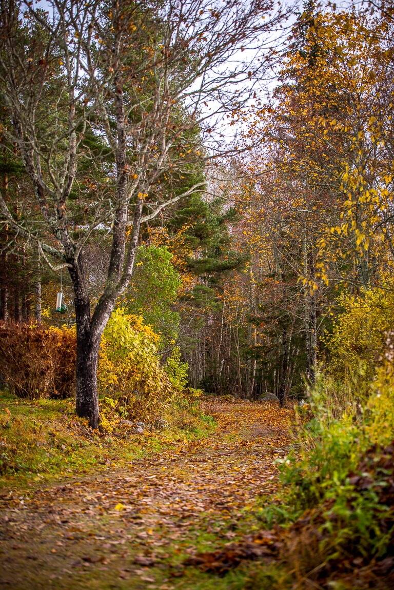 5 rum Villa på Glimsta 68 Hudiksvall - Hög Hudiksvalls kommun - bild 34
