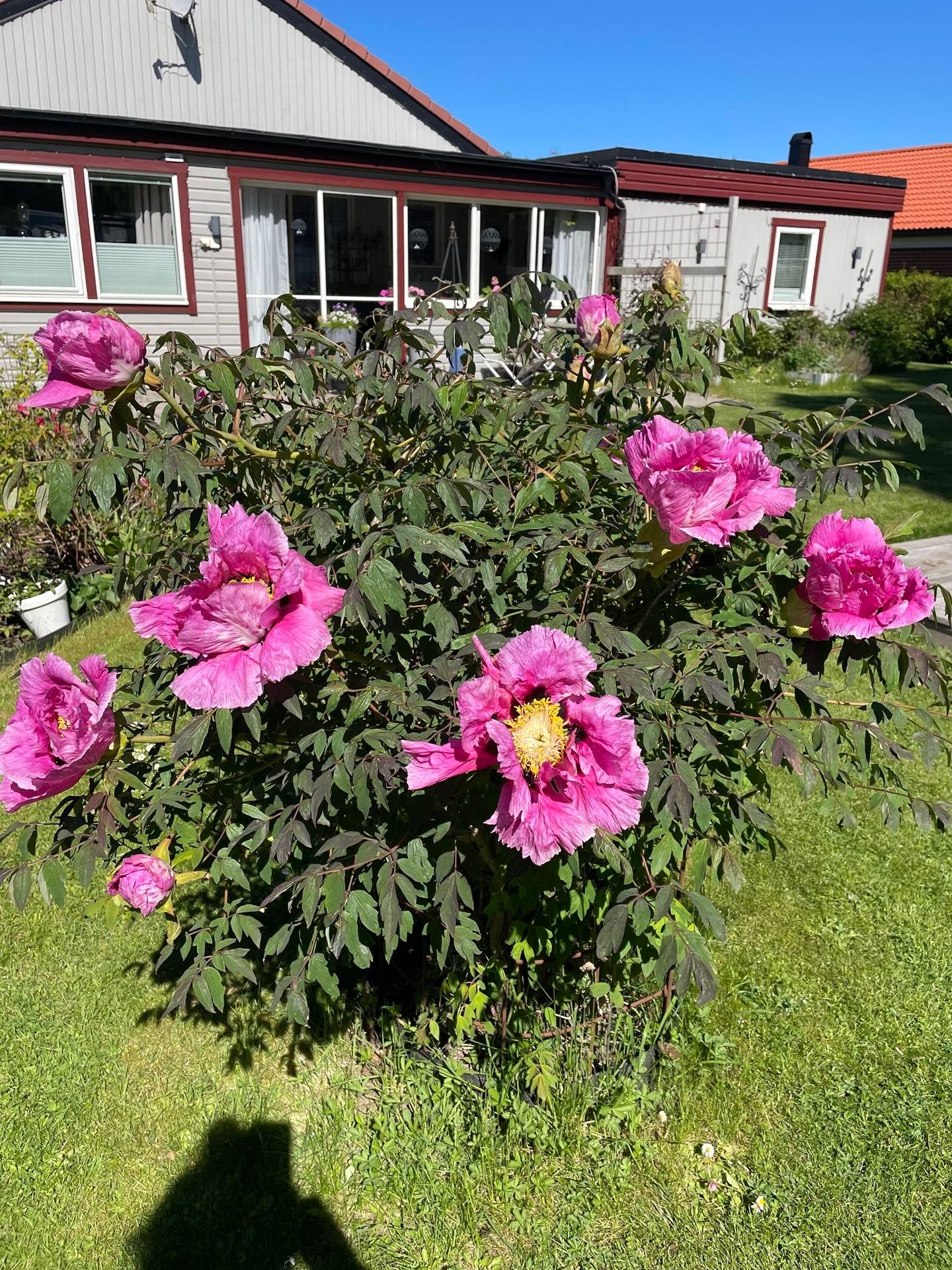 5 rum Kedjehus på Stenyxgränd 12 Mjölby Mjölby kommun - bild 34
