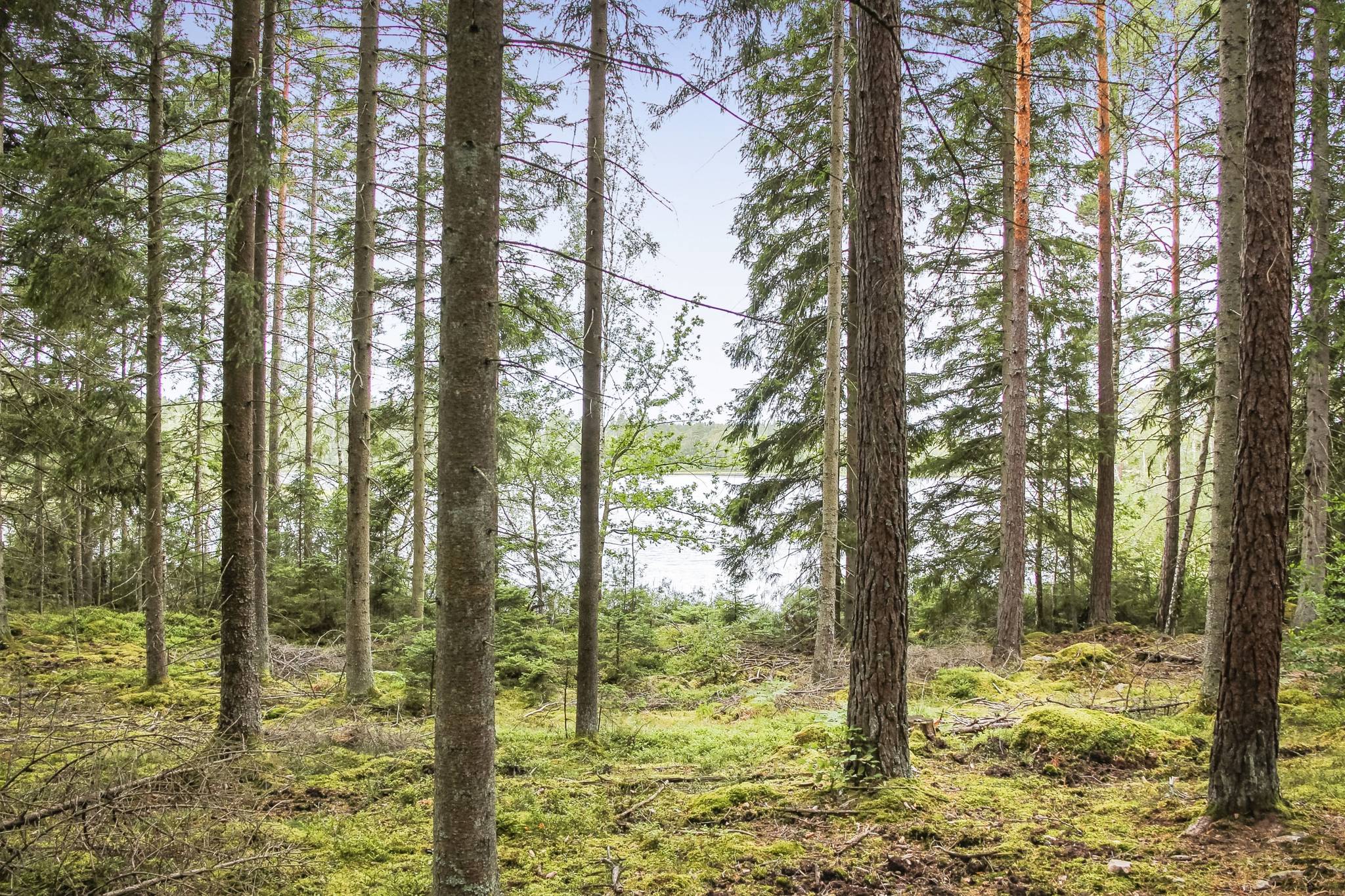 70 m² Gård med jordbruk på Buskahult 132 Holmsjö Karlskrona kommun - bild 30