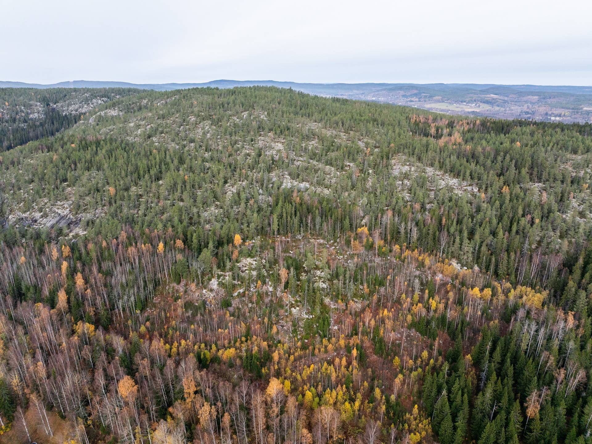 Gård med skogsbruk på Örnsköldsvik Österås 1:146 Själevad Örnsköldsviks kommun - bild 27