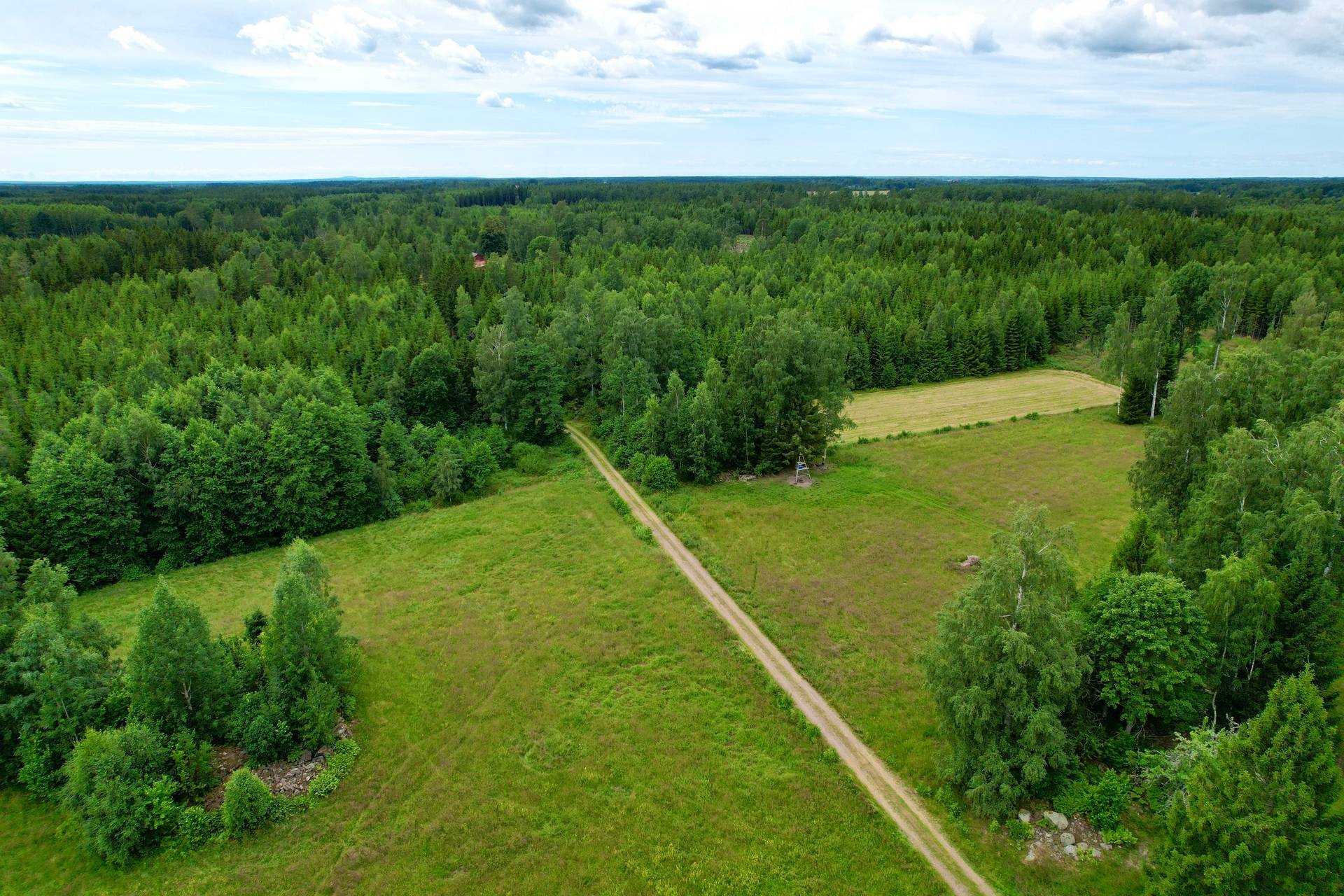 4 rum Gård med skogsbruk på Tåtorp Västra Sjötorp 14 Moholm Töreboda kommun - bild 78