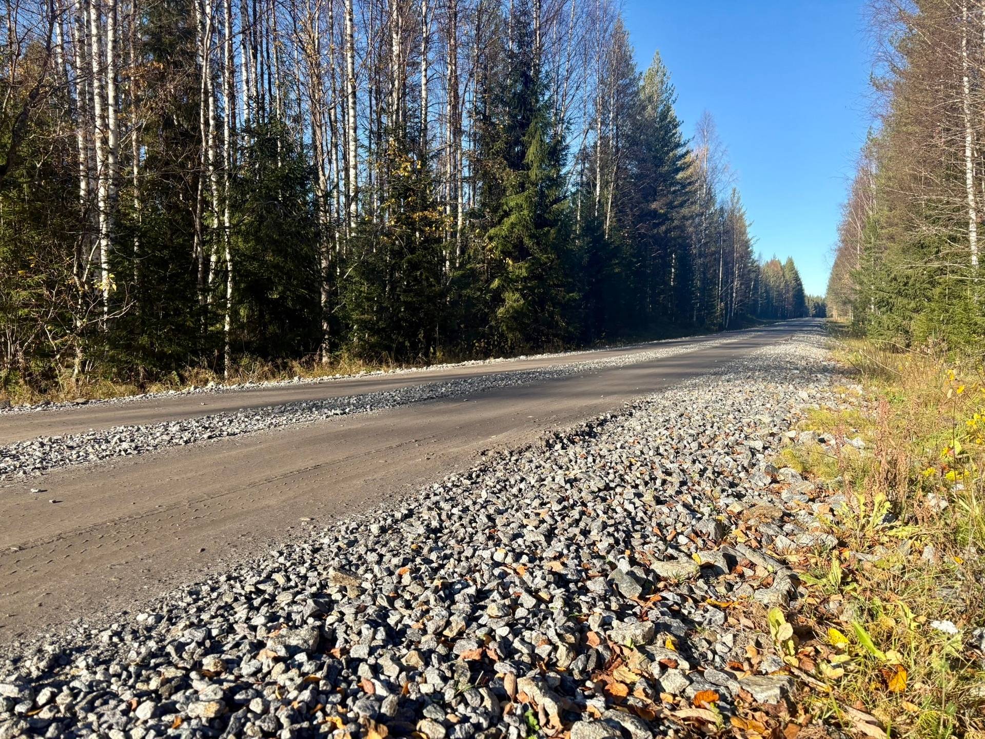 Gård/skog på Granön 4:6 Vindelns kommun - bild 14