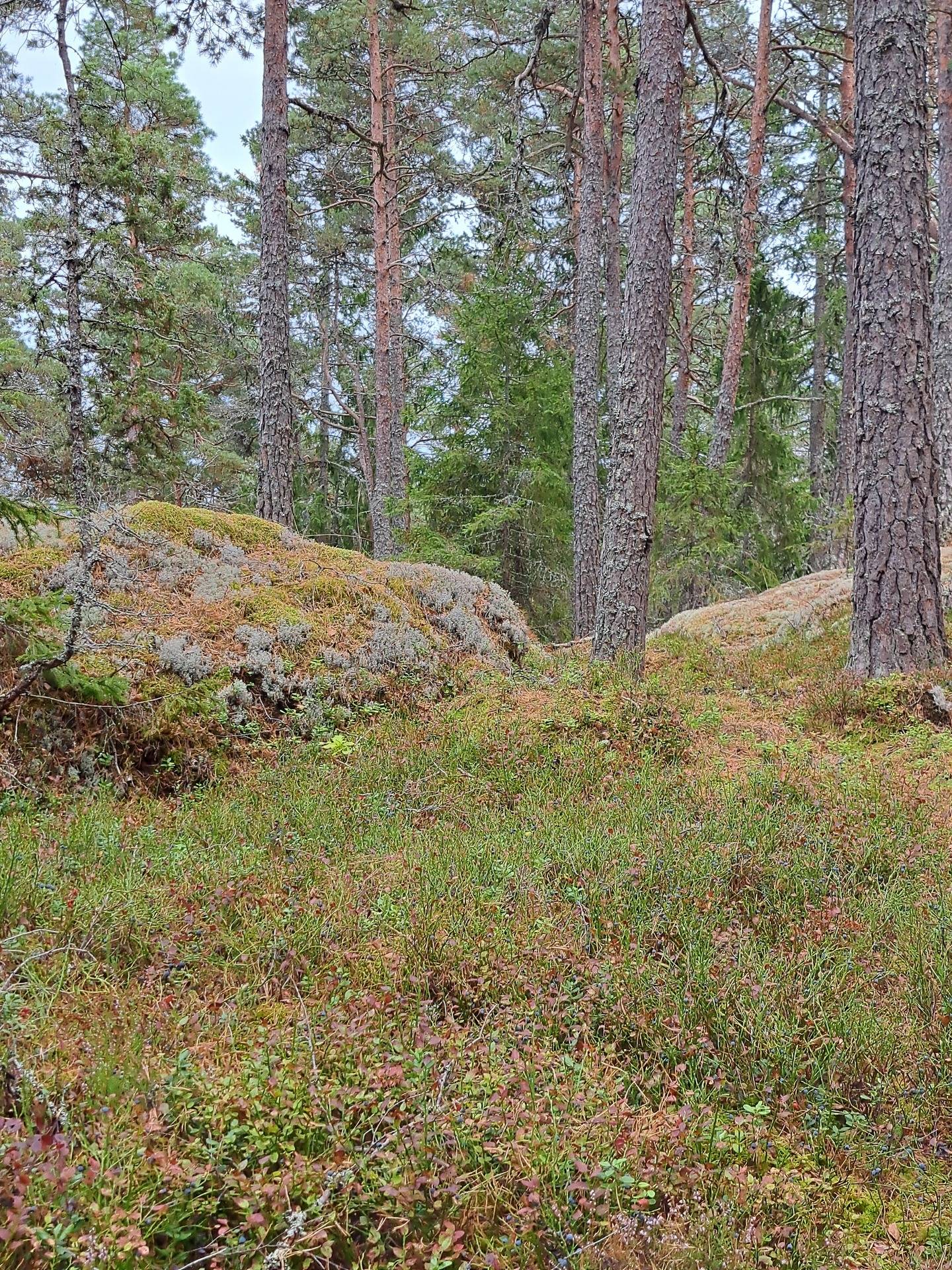 10 rum Gård/skog på Torsätra gård 1 Nykvarn Nykvarns kommun - bild 101