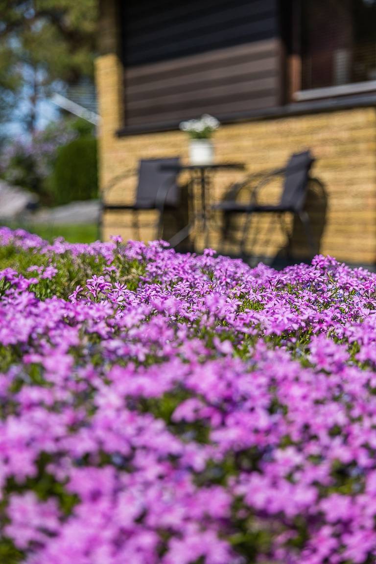 6 rum Villa på Olvongatan 6 Västralund Västerviks kommun - bild 52