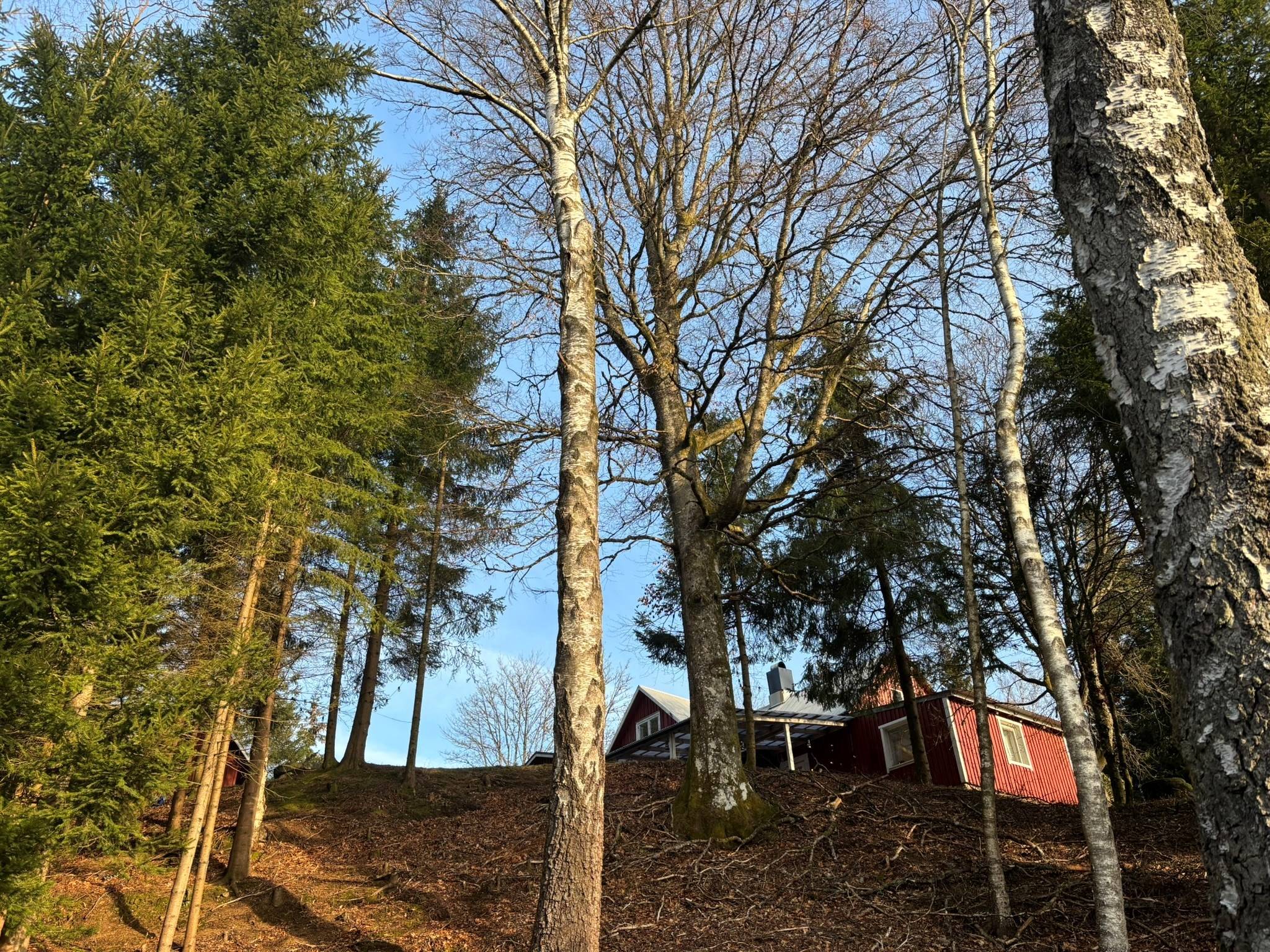 5 rum Fritidshus på Vänneböke 2242 Vänneböke Markaryds kommun - bild 26